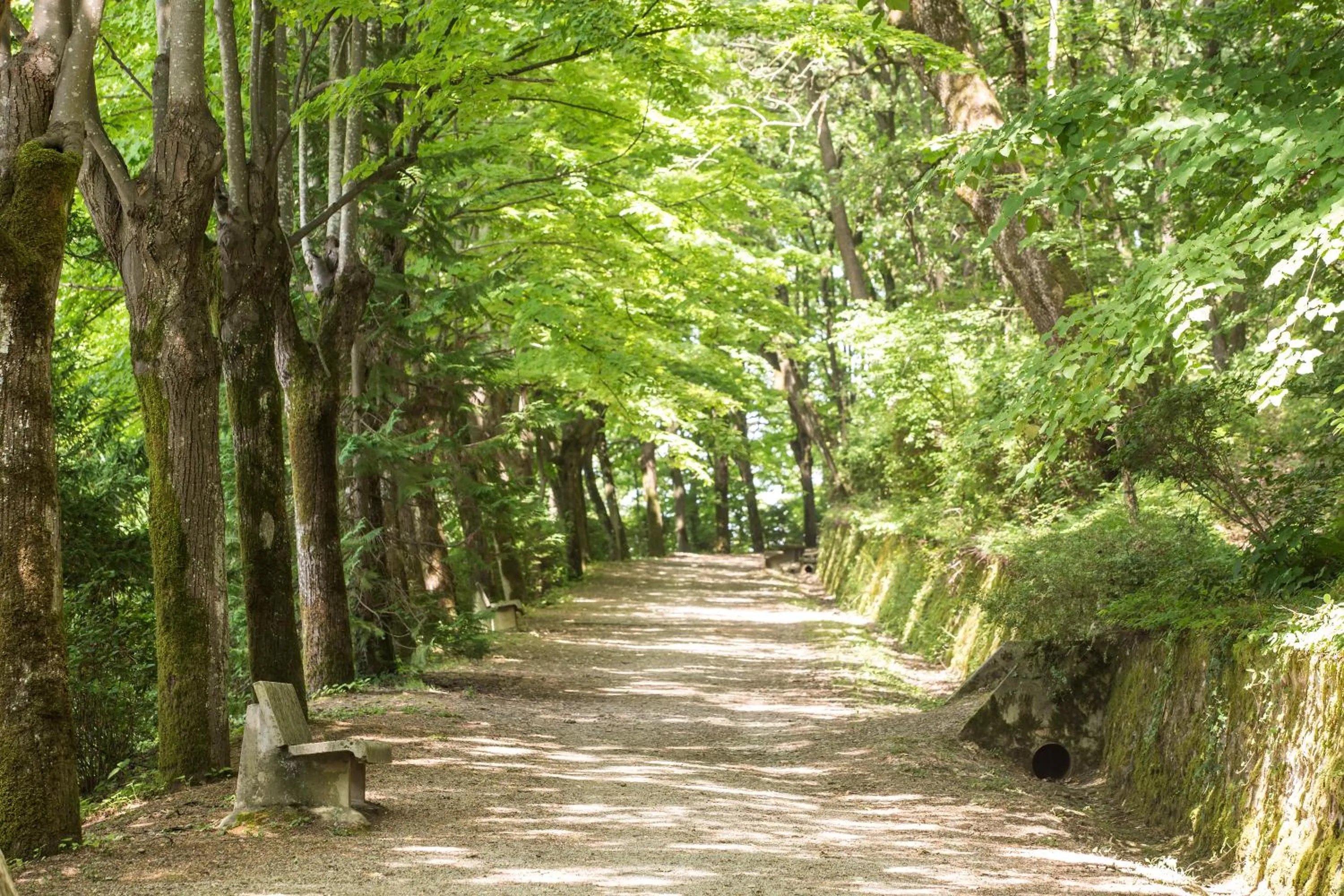 Activities in Grand Hotel Terme