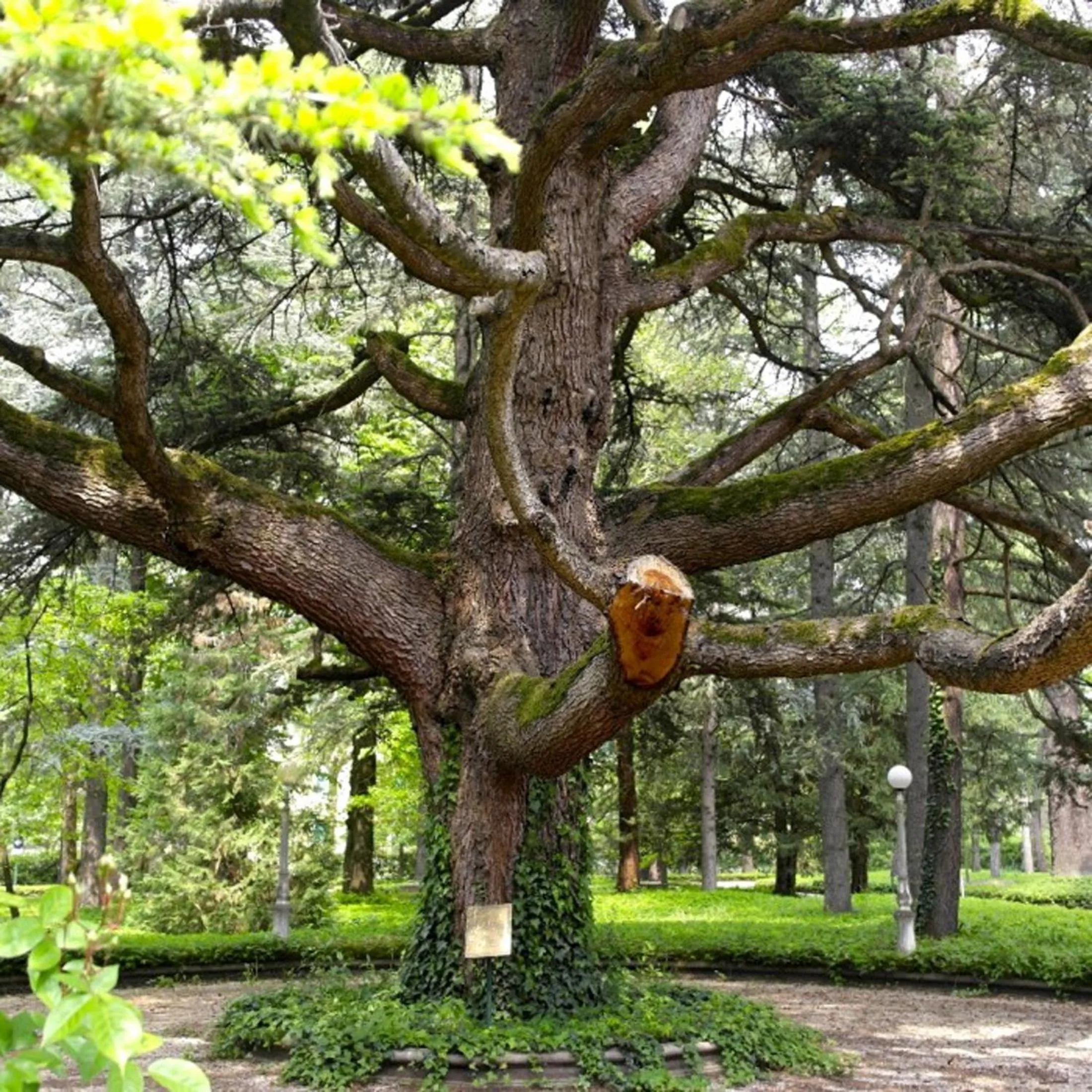 Day in Grand Hotel Terme