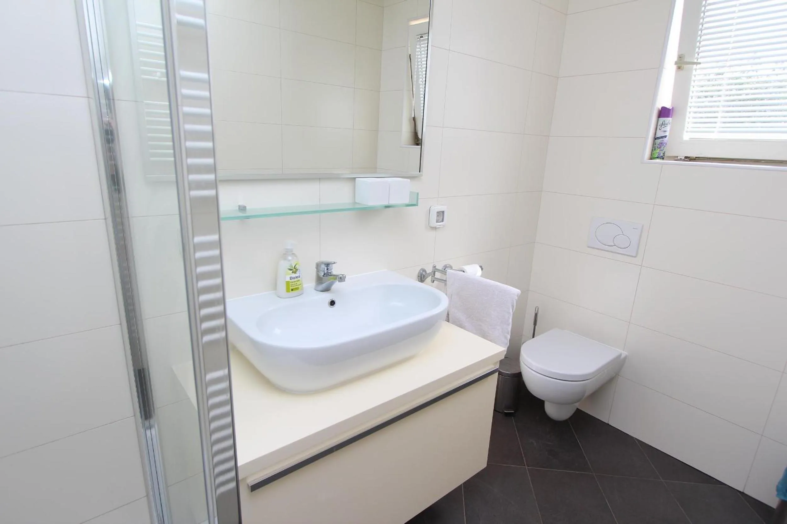 Bathroom in Apartment Suzana