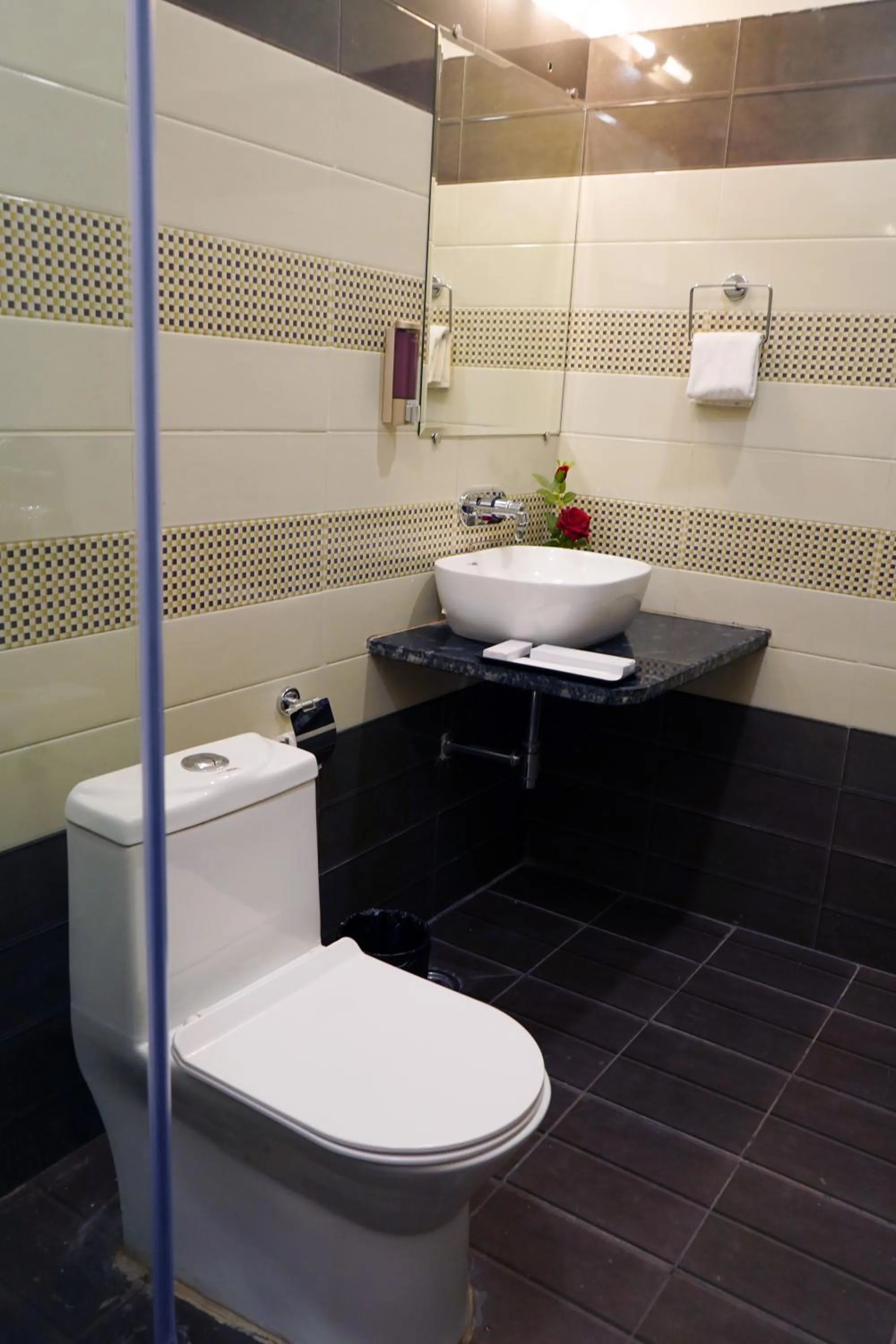 Bathroom in ShriGo Hotel Banaras