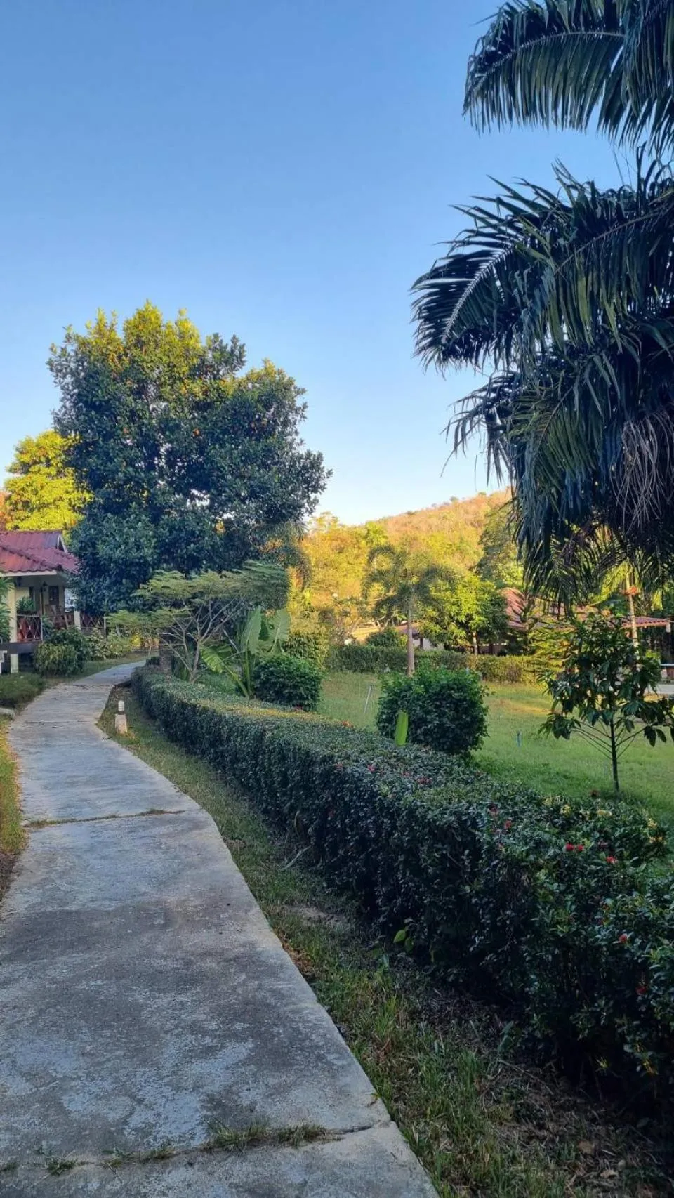 Garden in Mookies Bungalows