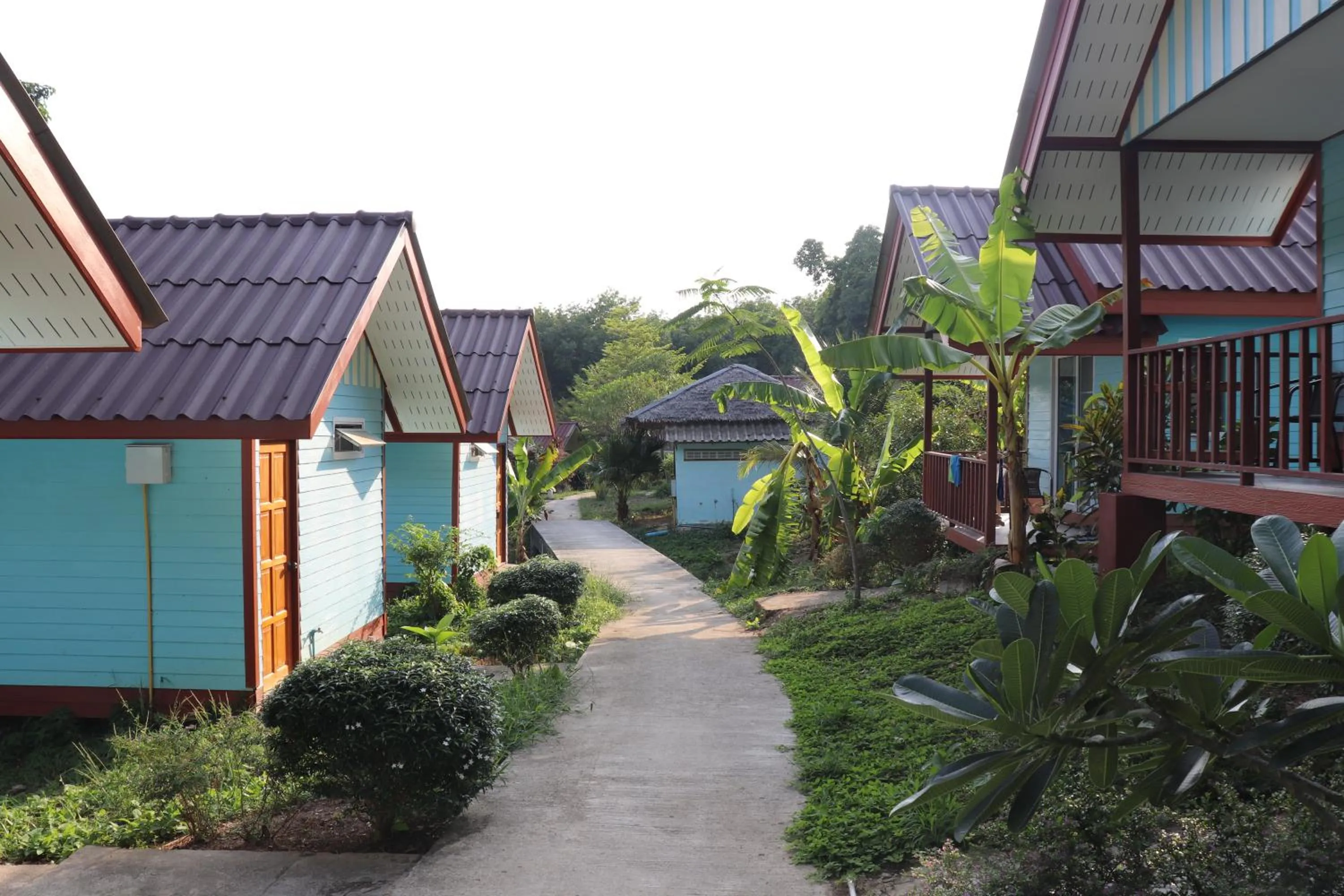 Garden in Mookies Bungalows