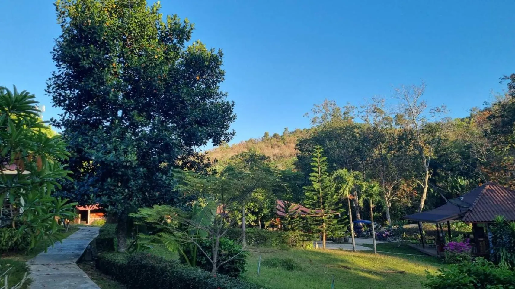 Garden in Mookies Bungalows