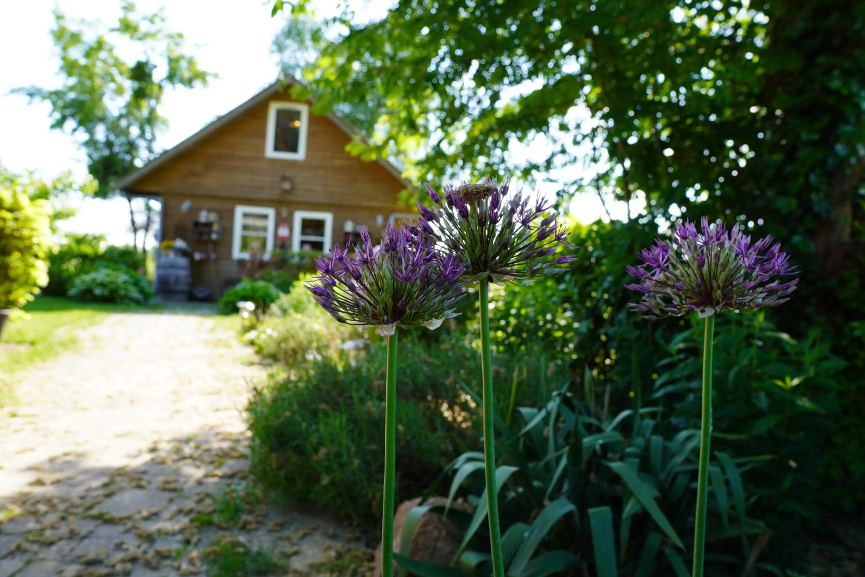 Property building in De Trouwerie