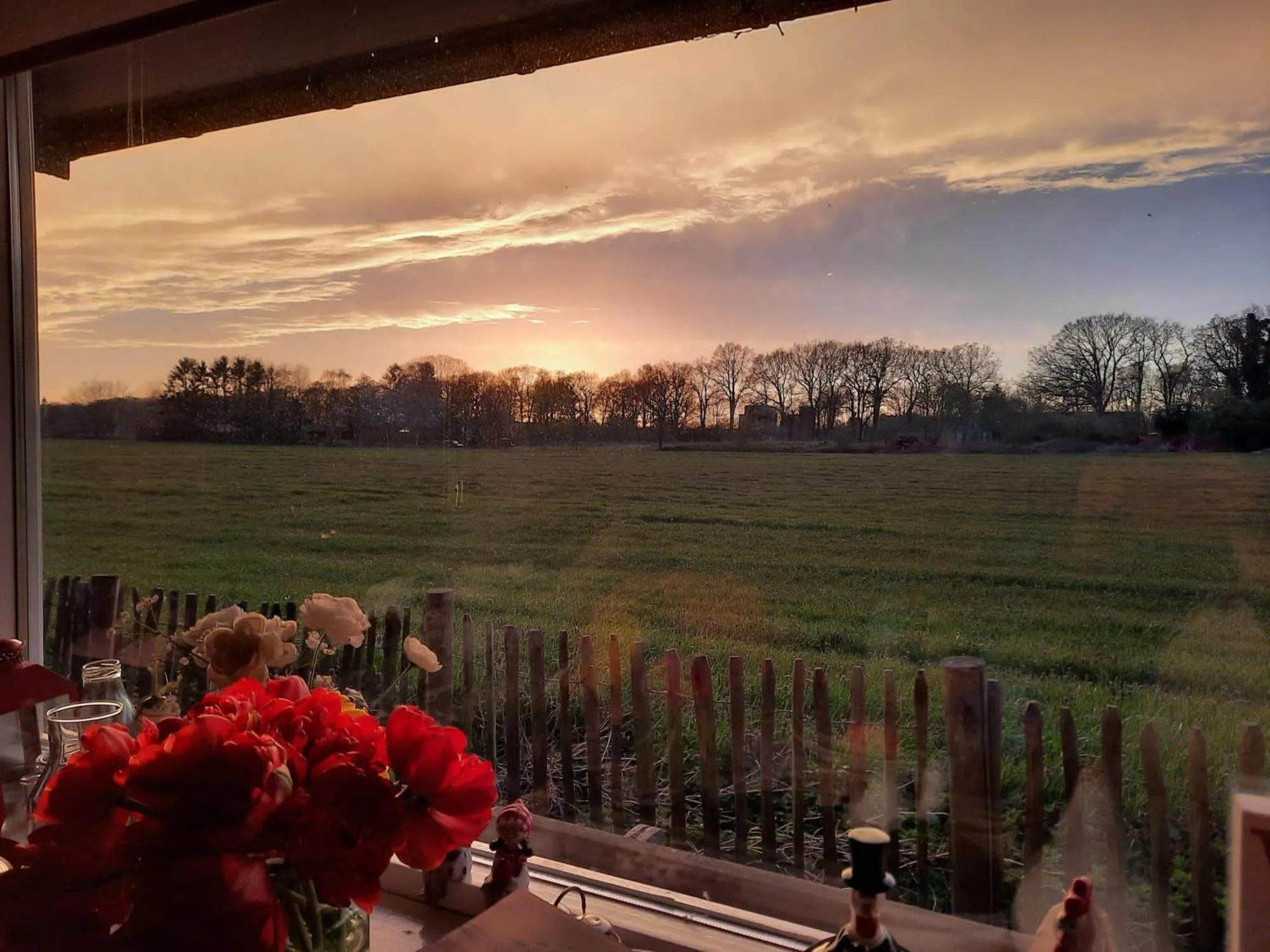 Natural landscape in De Trouwerie