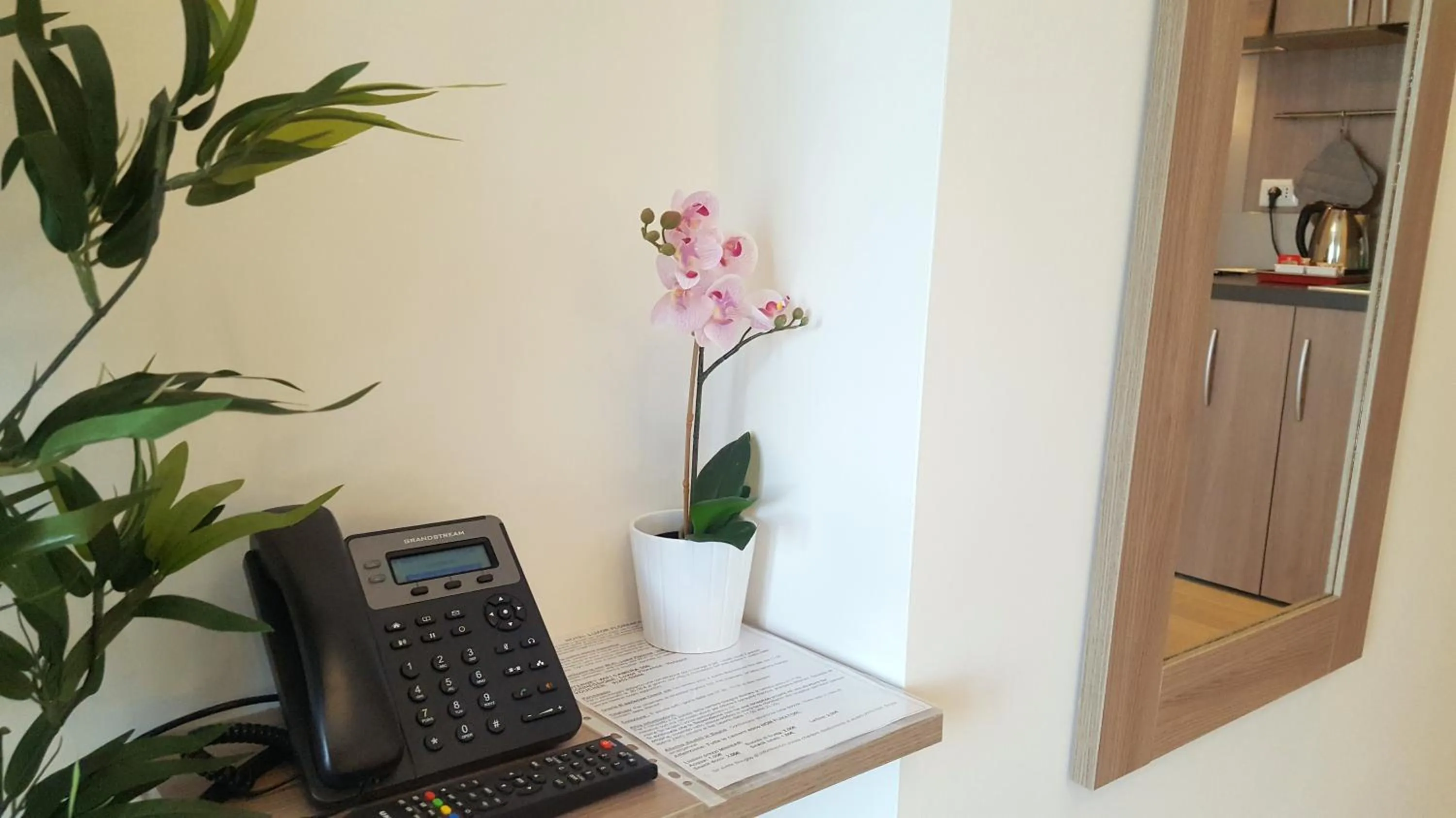 TV and multimedia in Hotel Luxor Florence