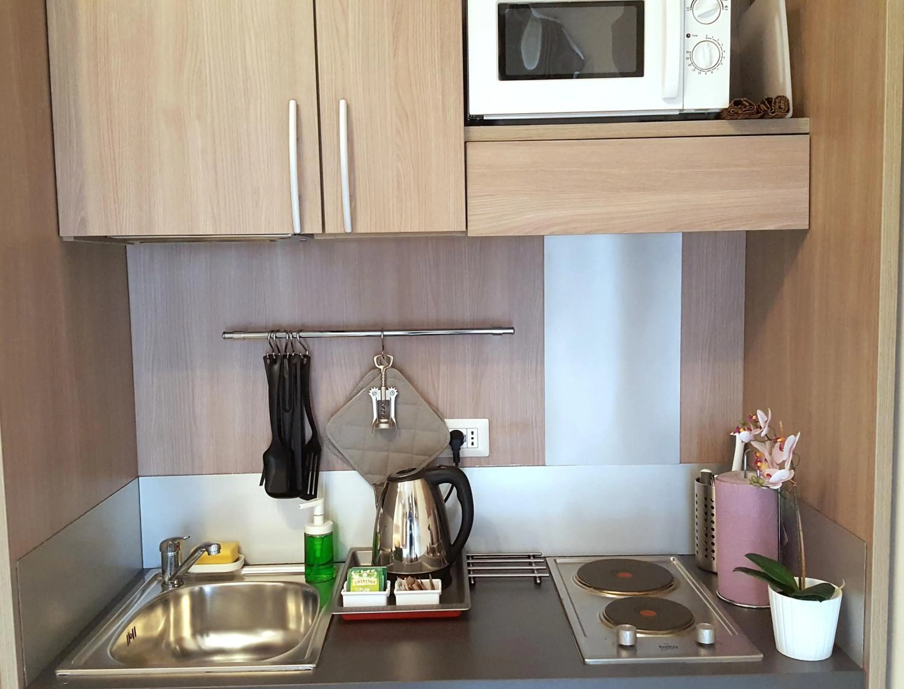 Kitchen or kitchenette in Hotel Luxor Florence