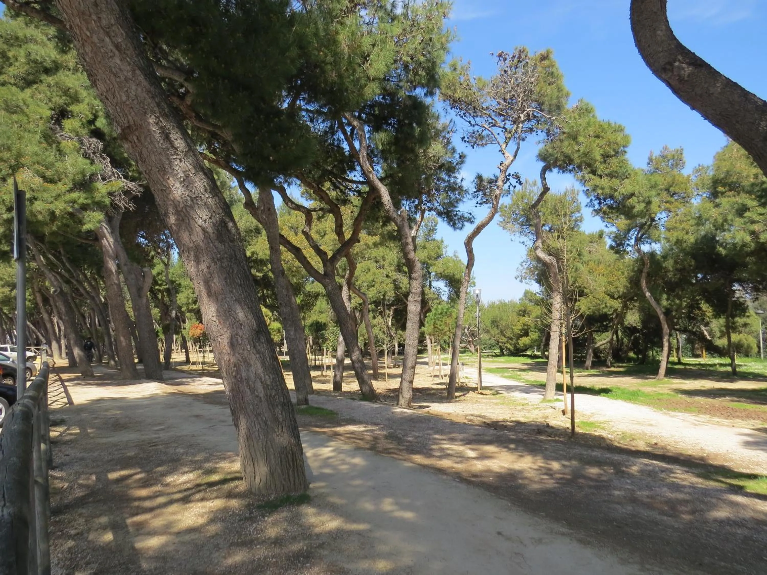 Activities in B&B Villino Giovanna Wi-Fi AC Prima fila mare Pineta