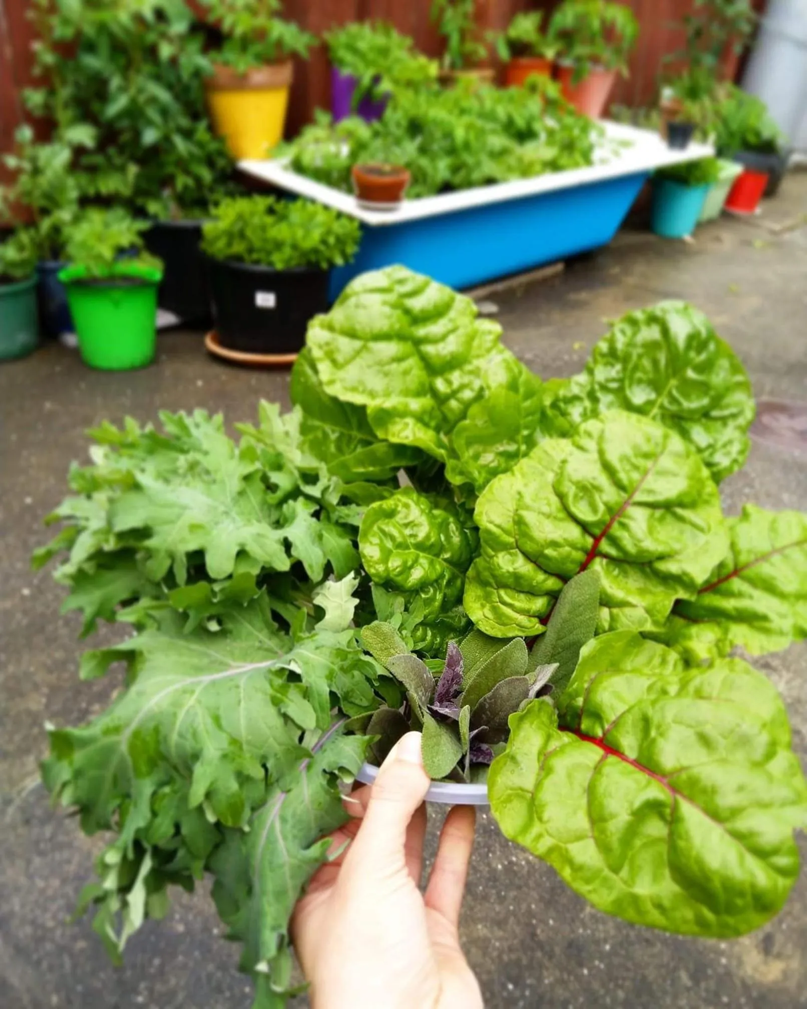 BBQ facilities in Toad Hall Accommodation