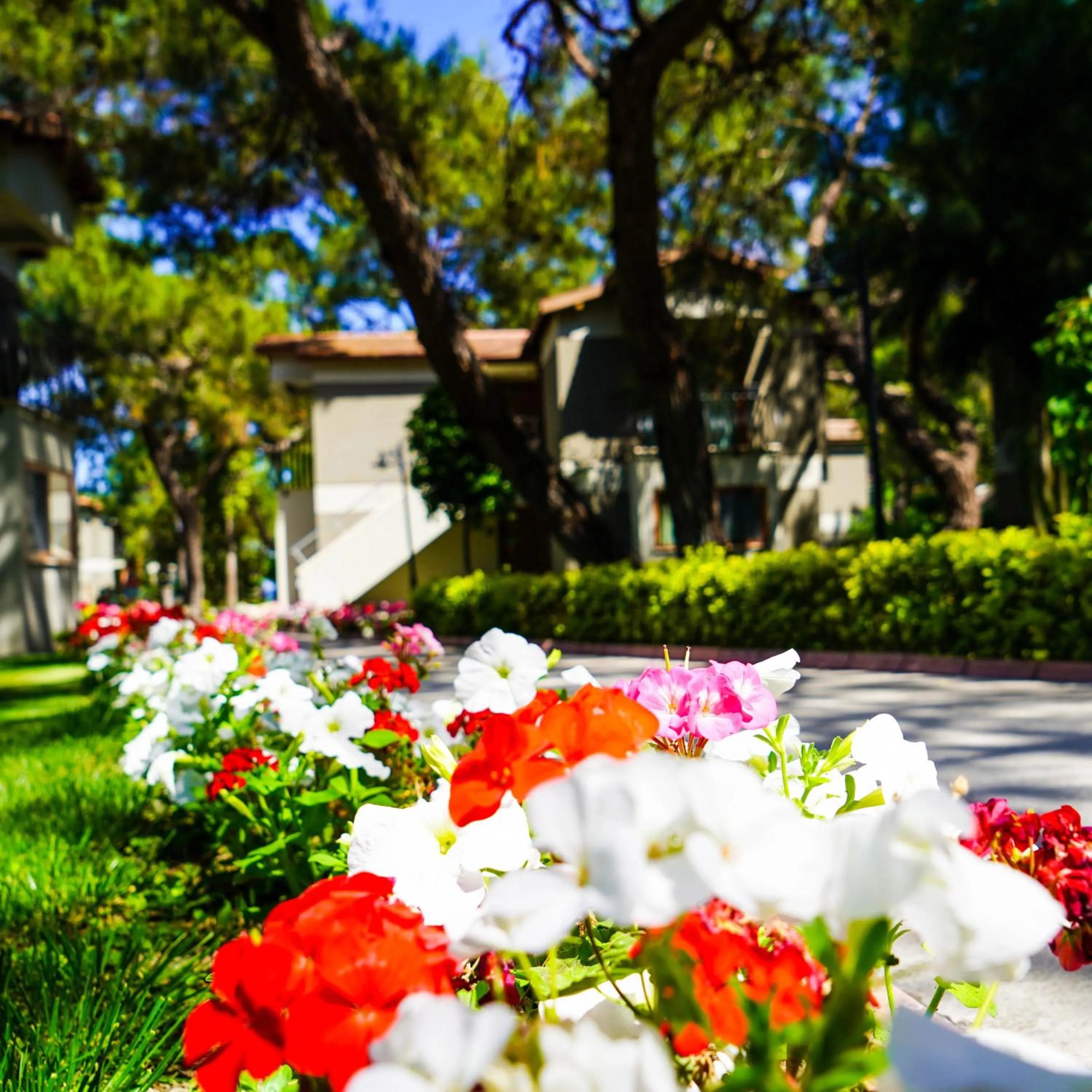 Garden in Kimeros Park Holiday Village - Ultra All Inc. Kids Concept