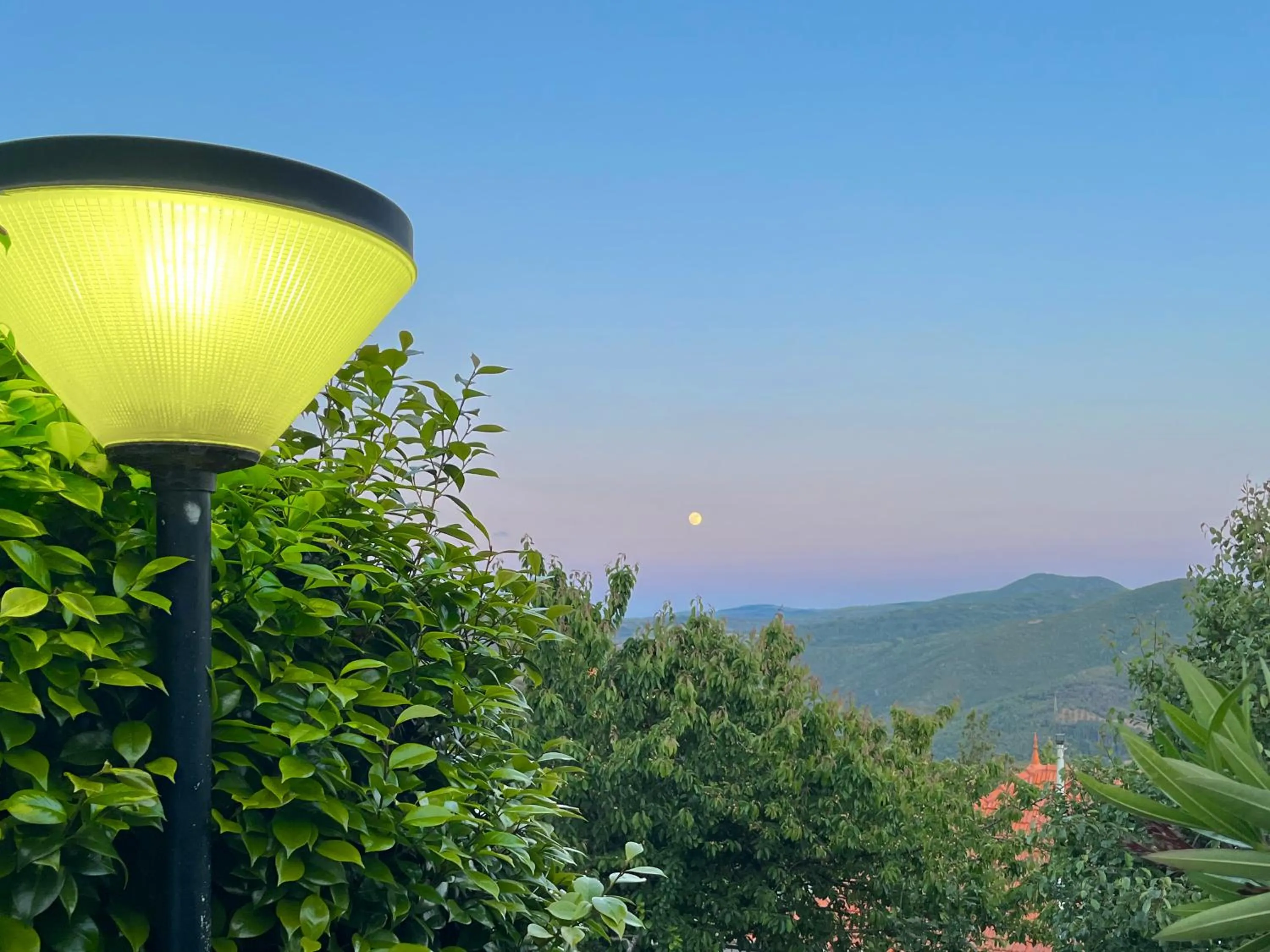 Garden in Vinhais Hotel