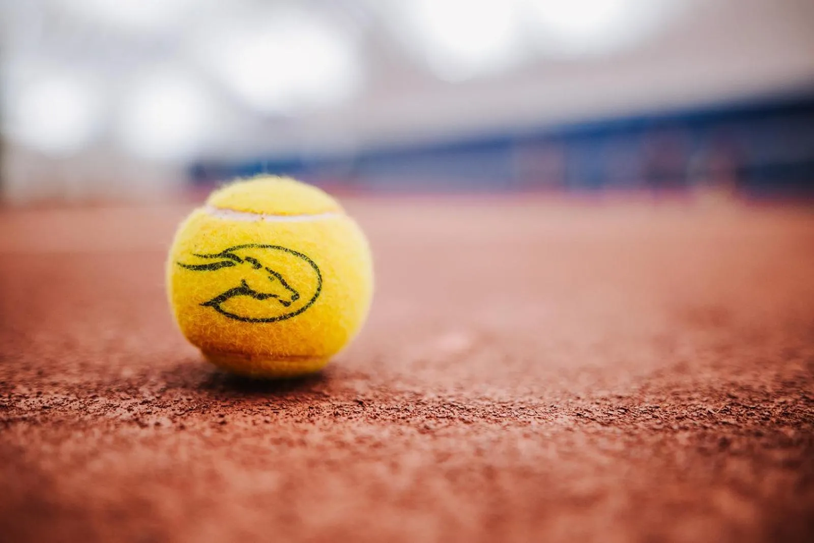 Tennis court in Flying Horse Resort & Club