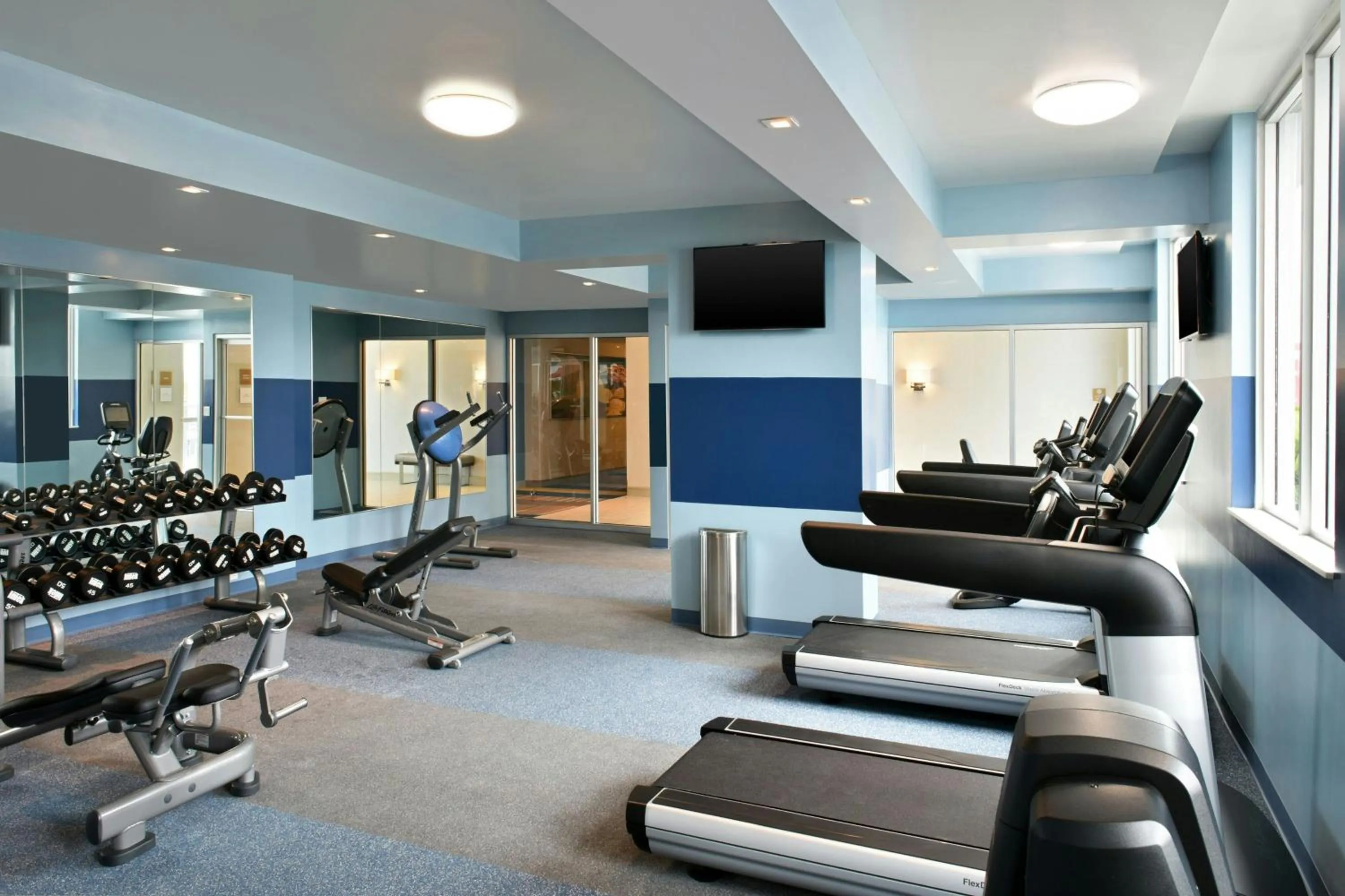 Fitness centre/facilities in Four Points by Sheraton Coral Gables