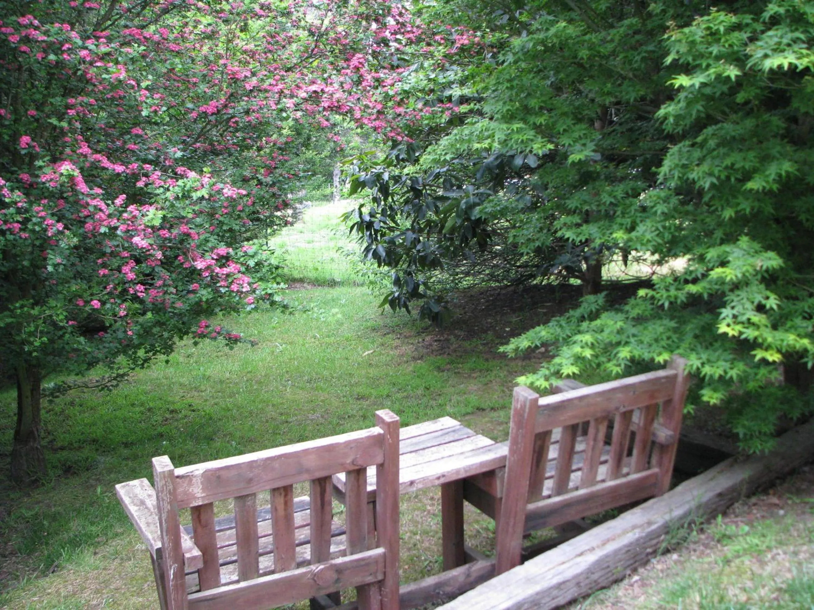Garden in Leafield Cottages