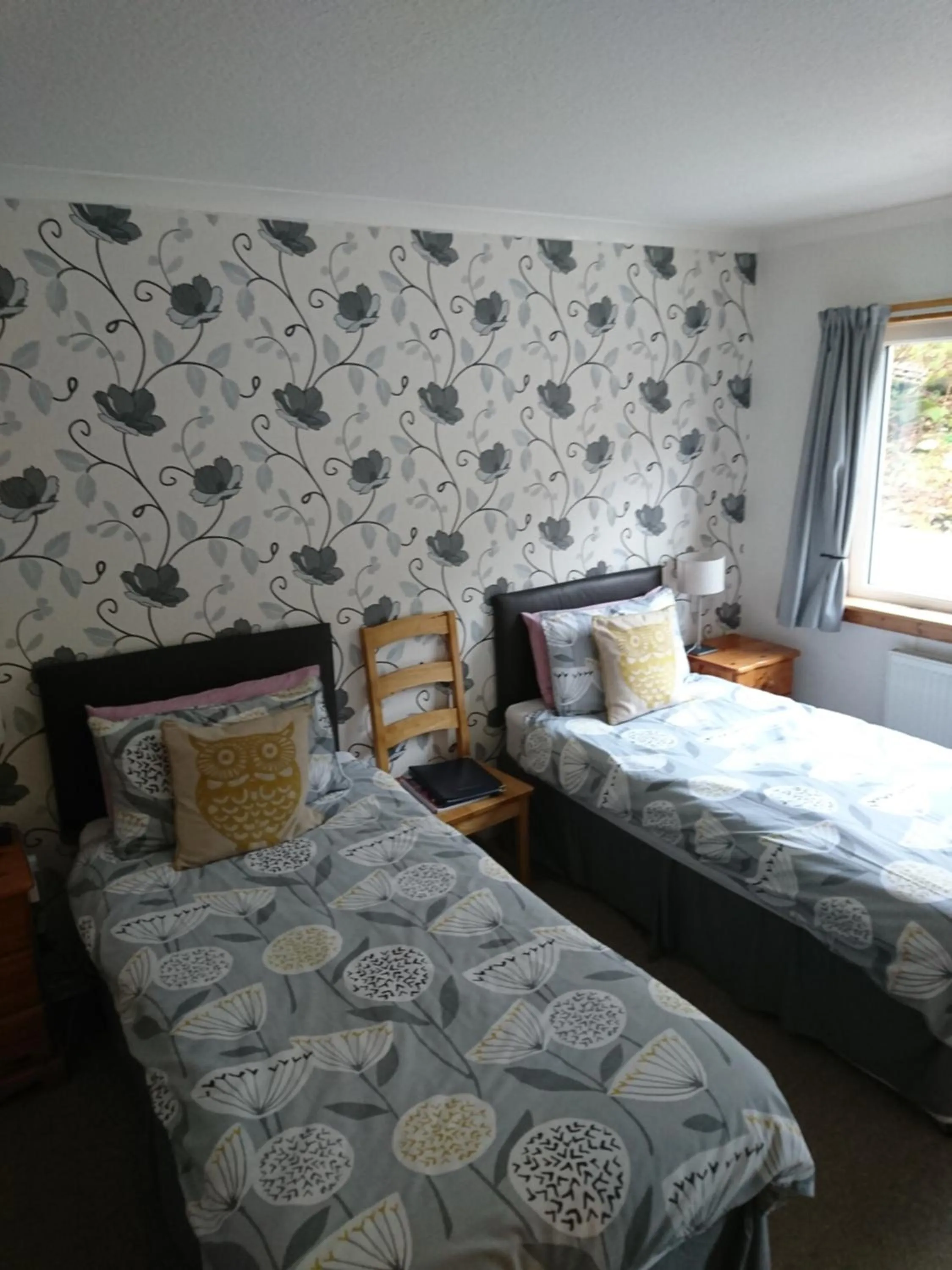 Bird's eye view in Skye Haven