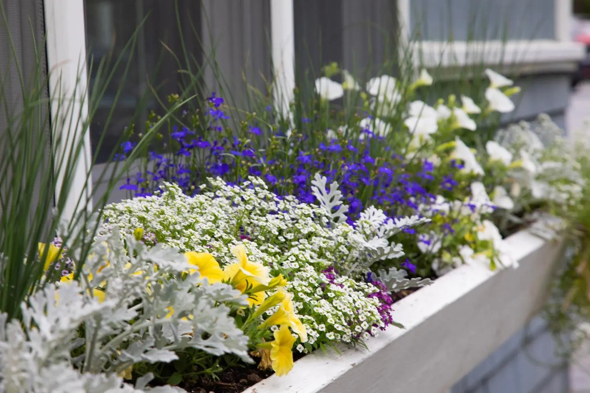 Standard Queen in The Shire Woodstock Standard Queen in The Shire Woodstock