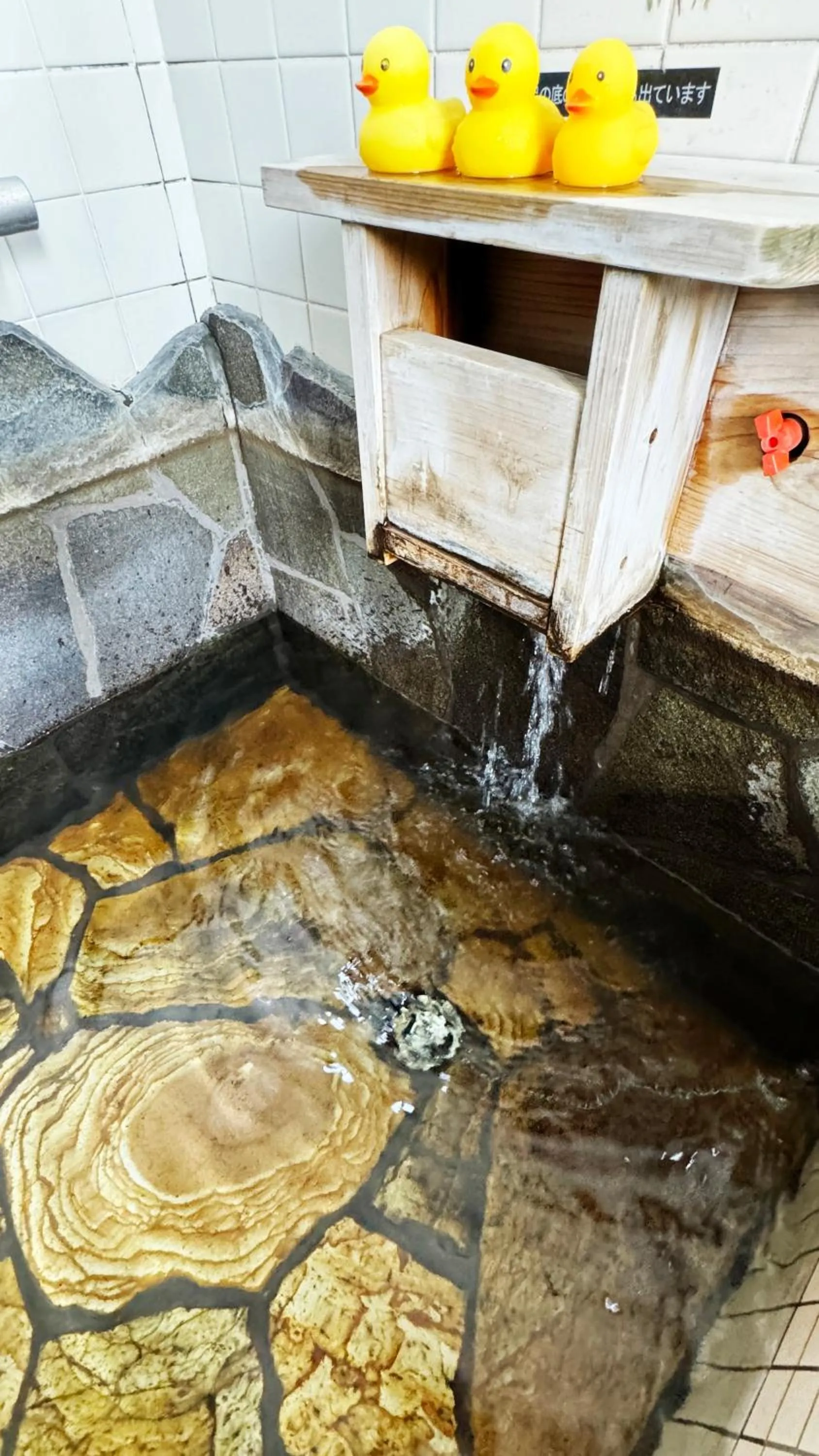 Hot Spring Bath in Yufuin Tabinokura