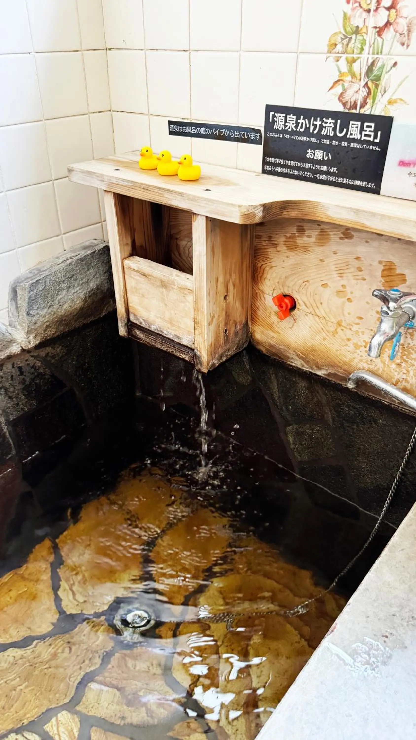 Hot Spring Bath in Yufuin Tabinokura