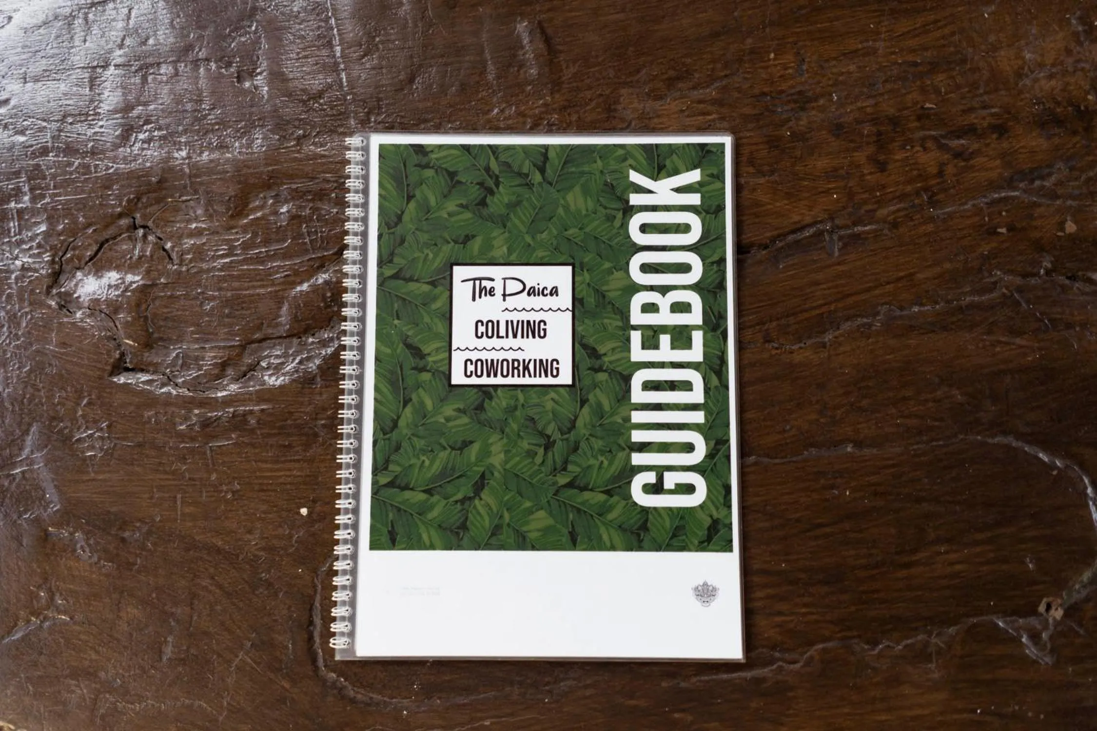 Photo of the whole room in The Paica