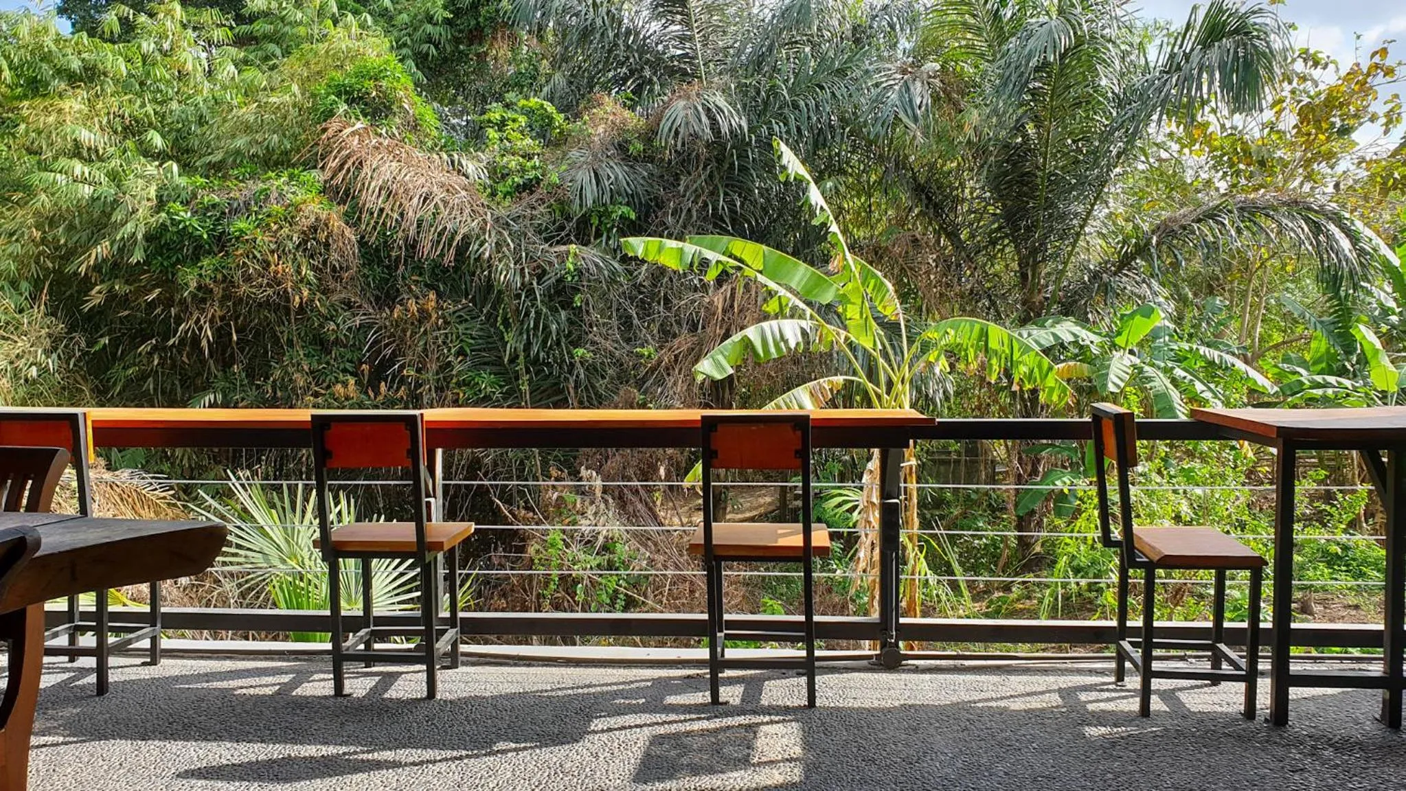 Balcony/Terrace in The Paica