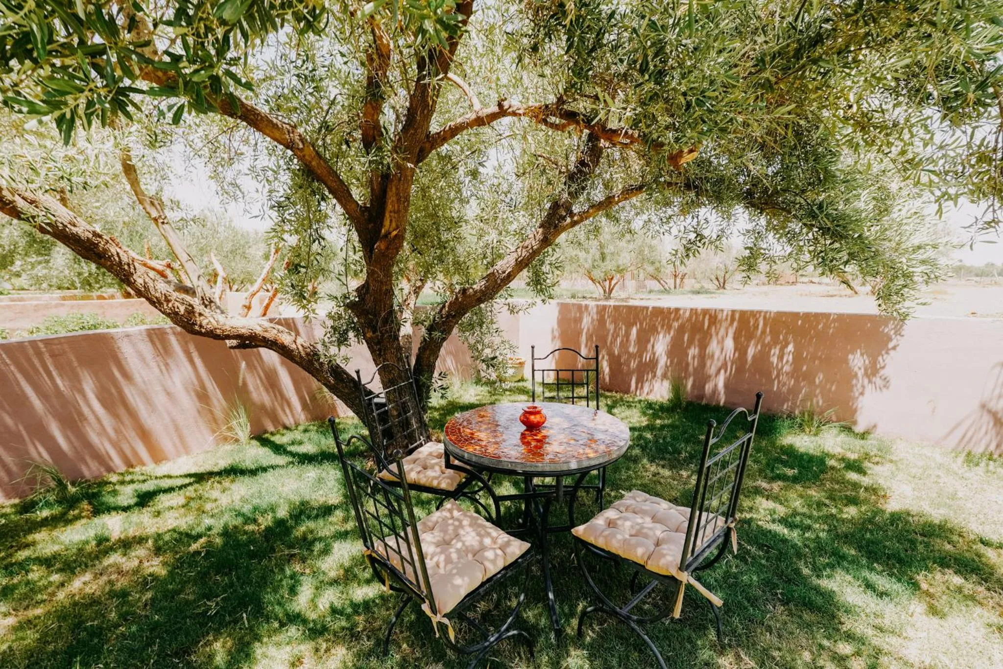 Garden view in Hotel & Spa La Ferme El Dar