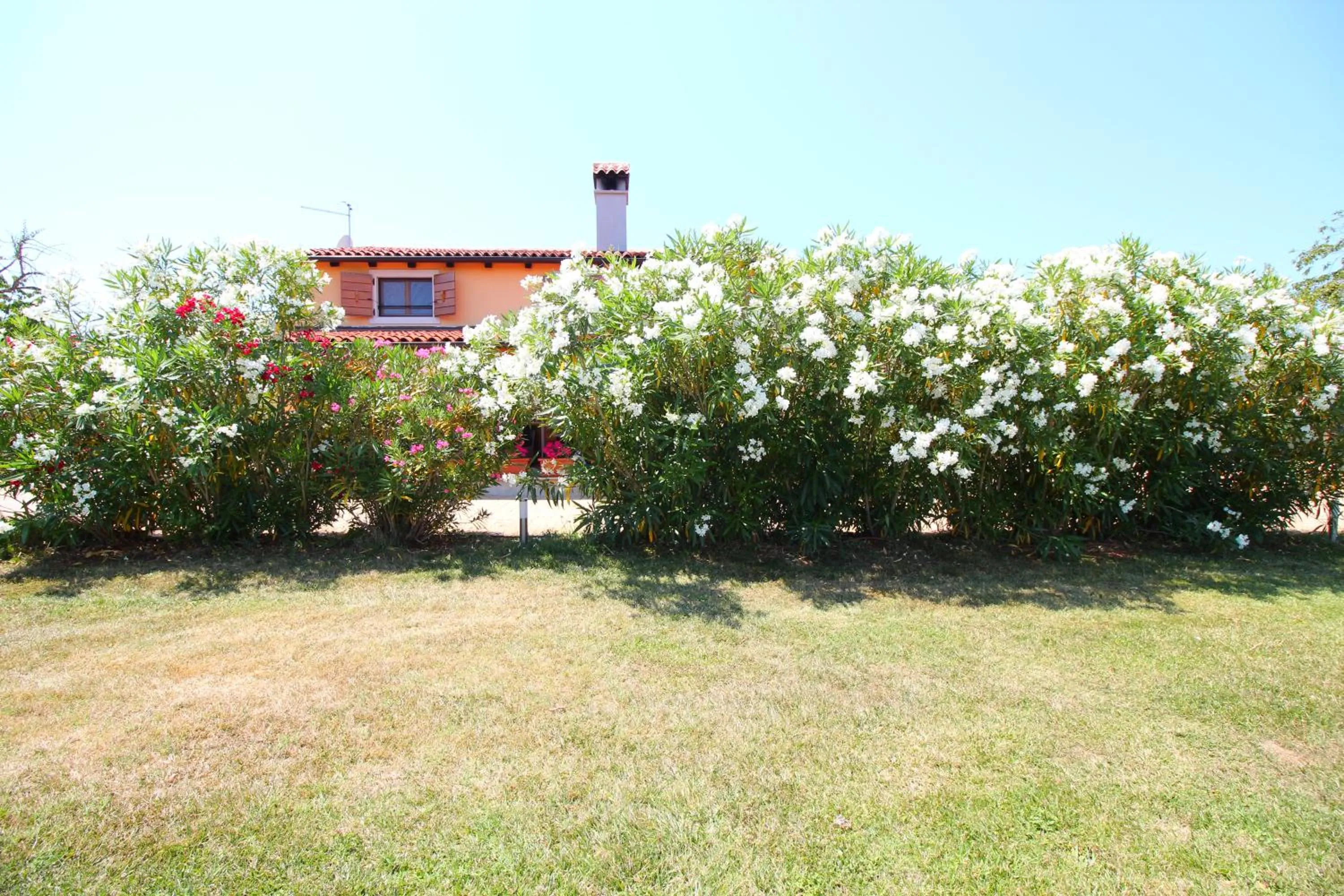 Garden in Holiday Home Valmoneda