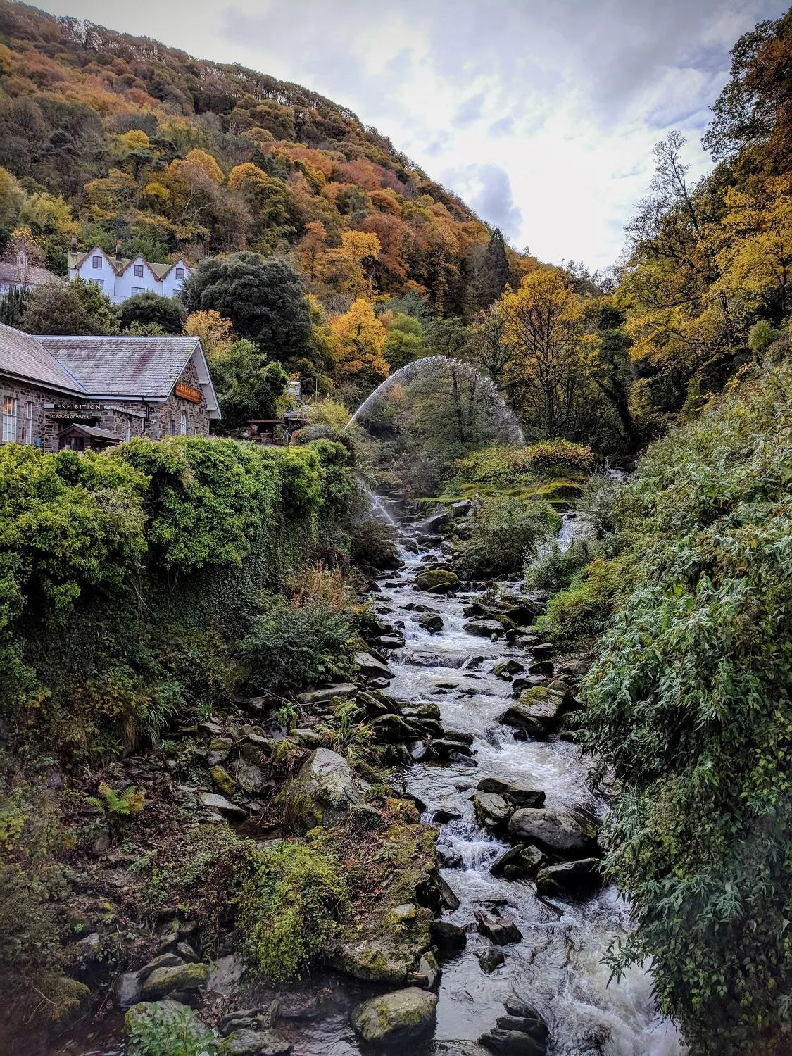 Natural landscape in Heathergate Cottage Dartmoor BnB