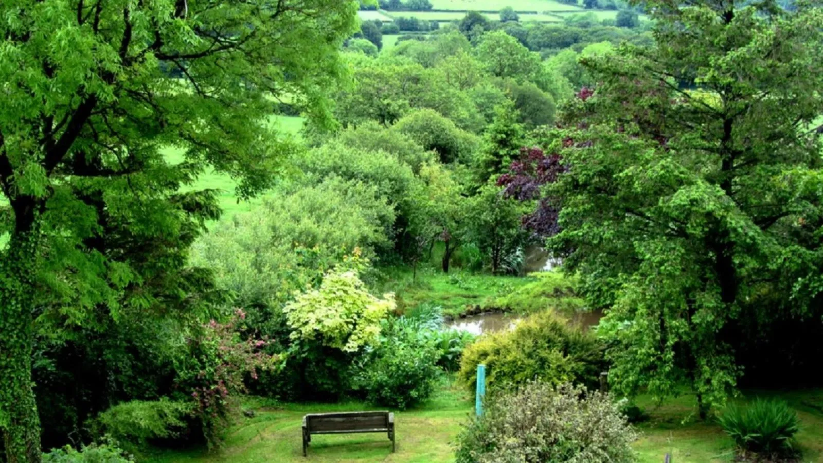 Natural landscape in Heathergate Cottage Dartmoor BnB