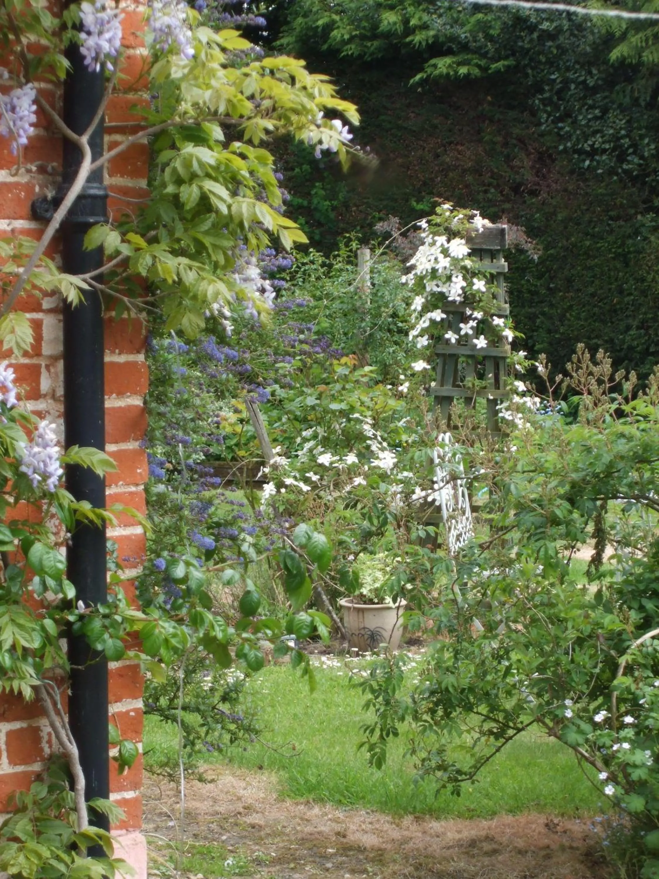 Garden in The Old Vicarage Bed And Breakfast