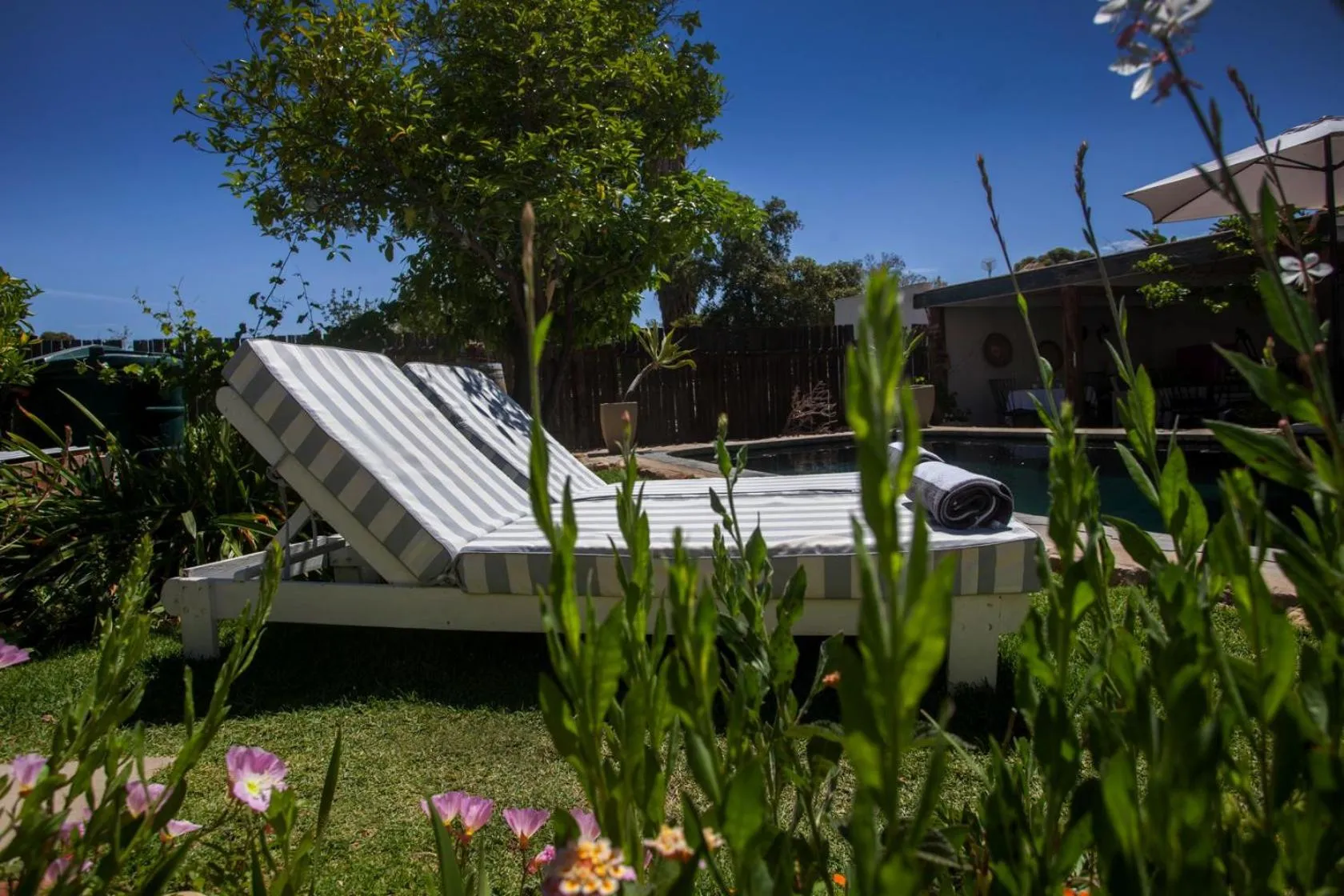 Garden in Onse Rus Guesthouse