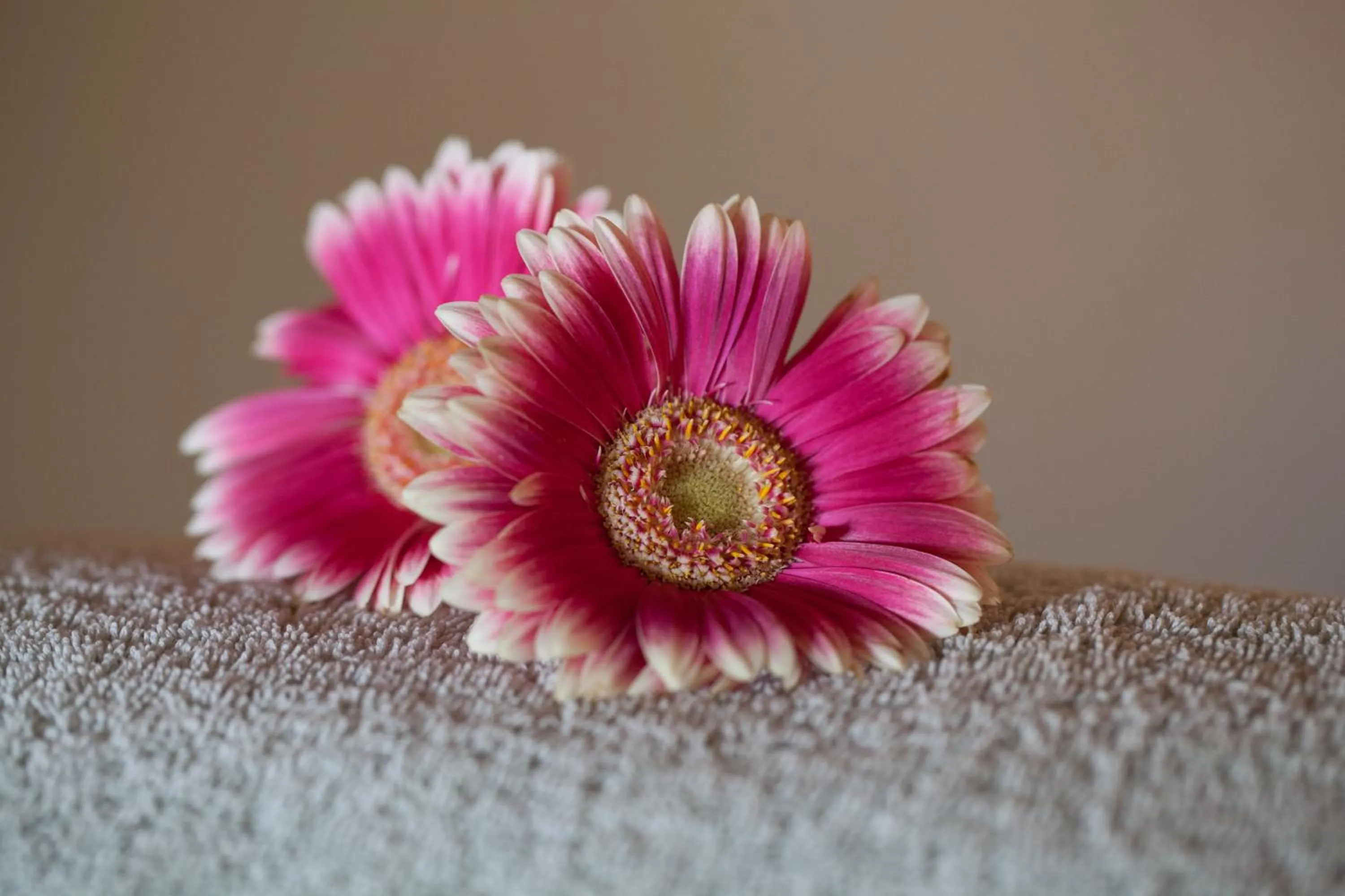 Bedroom in Onse Rus Guesthouse
