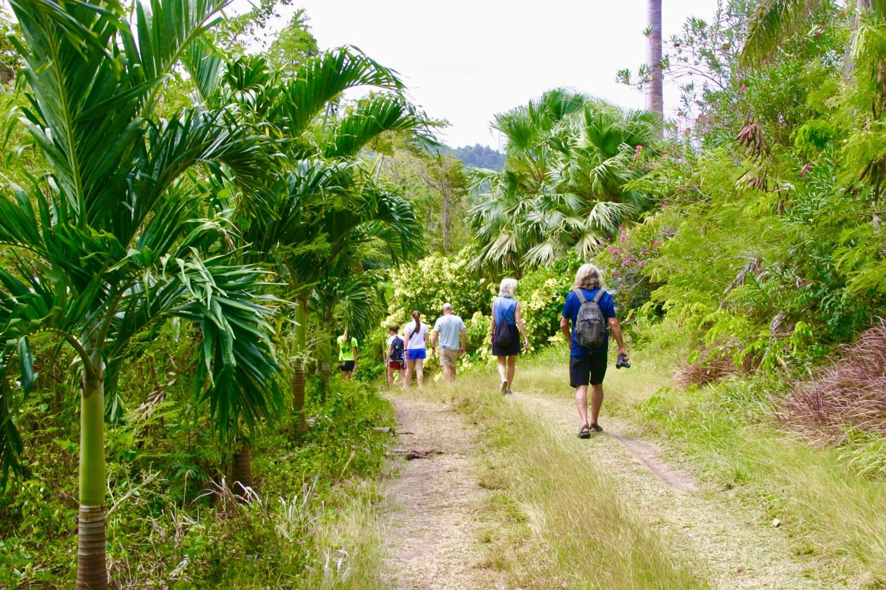 Activities in Petite Anse Hotel