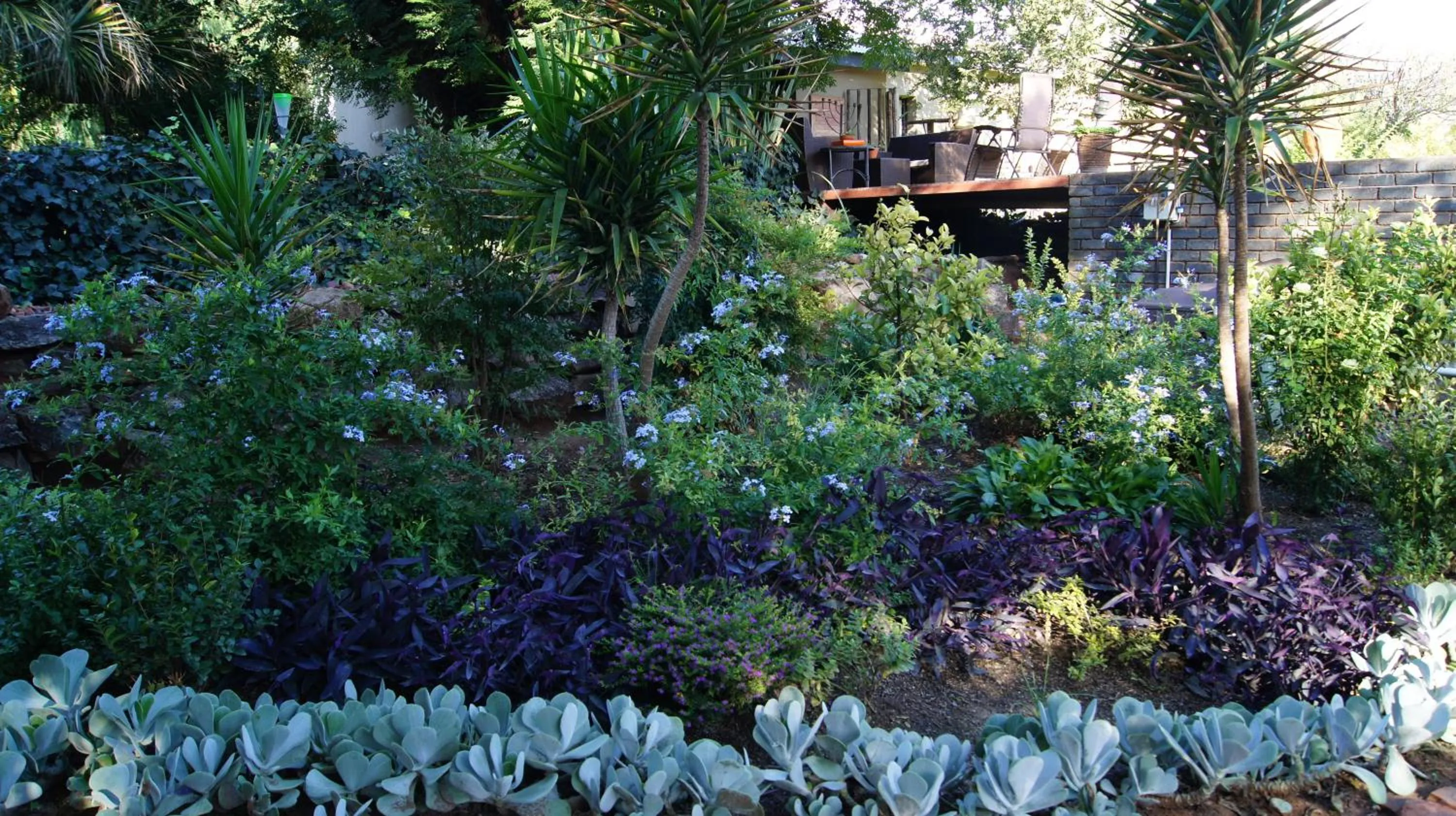 Garden in Cunningham Cottage Guest House