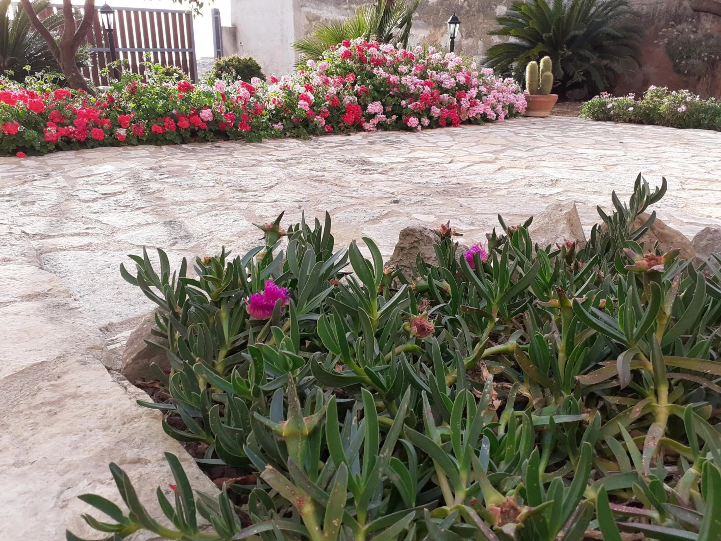 Garden in Baglio Messina Vacanze