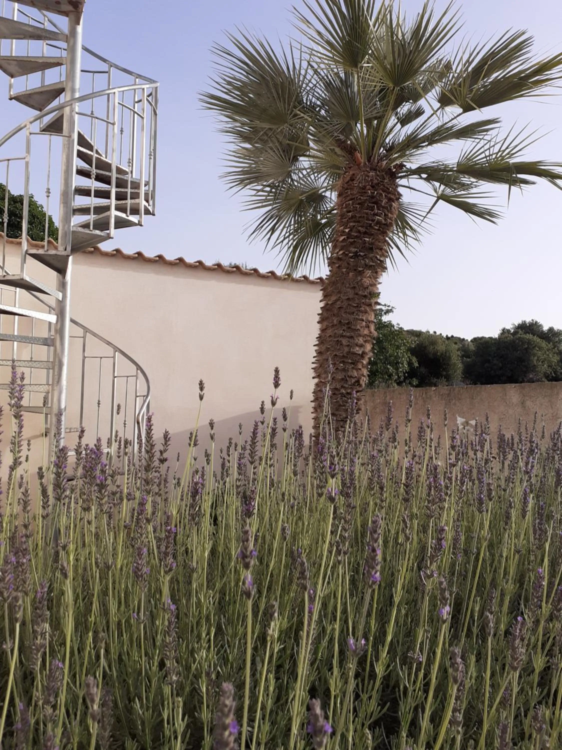 Property building in Baglio Messina Vacanze