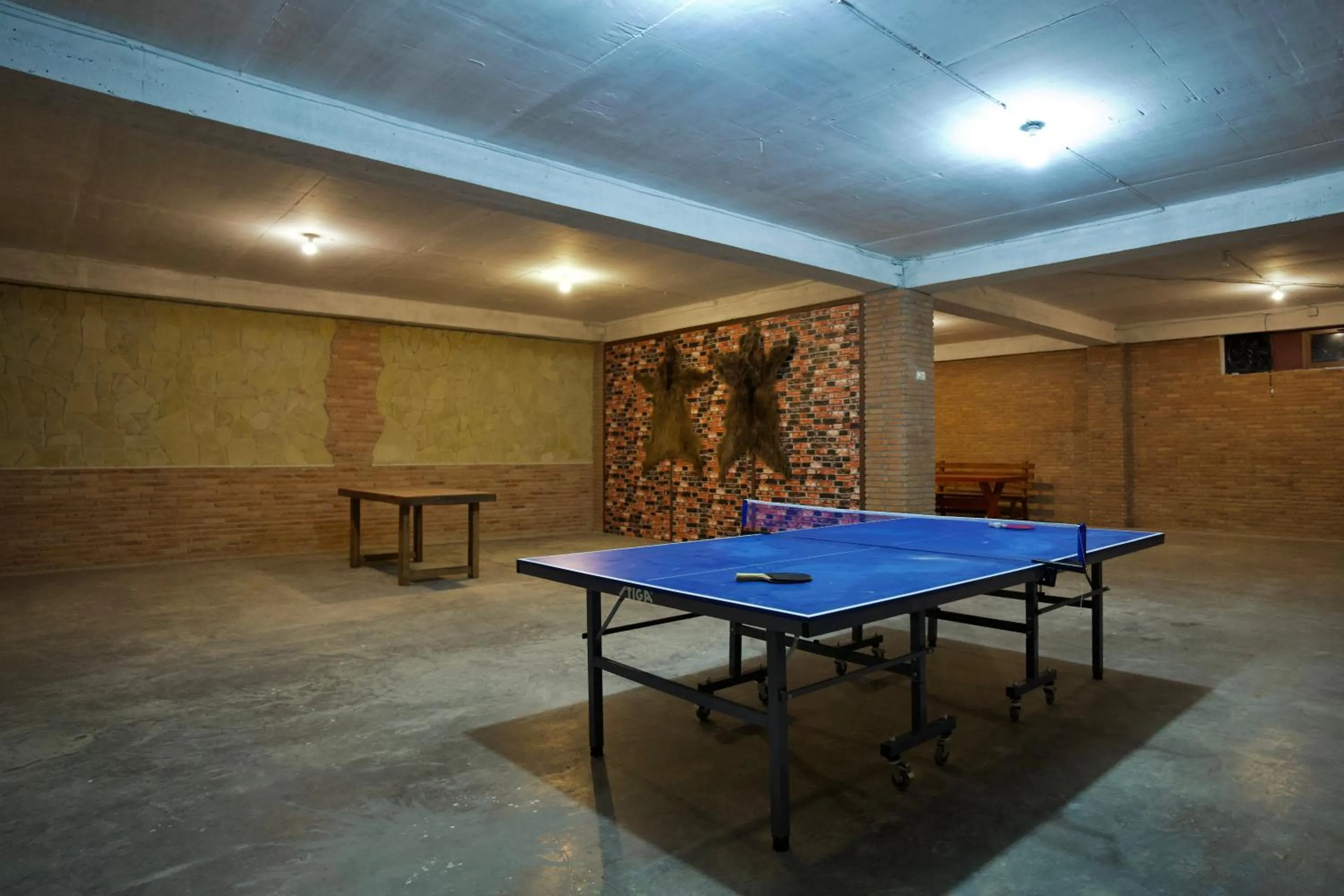Table tennis in Hotel Mogzauri