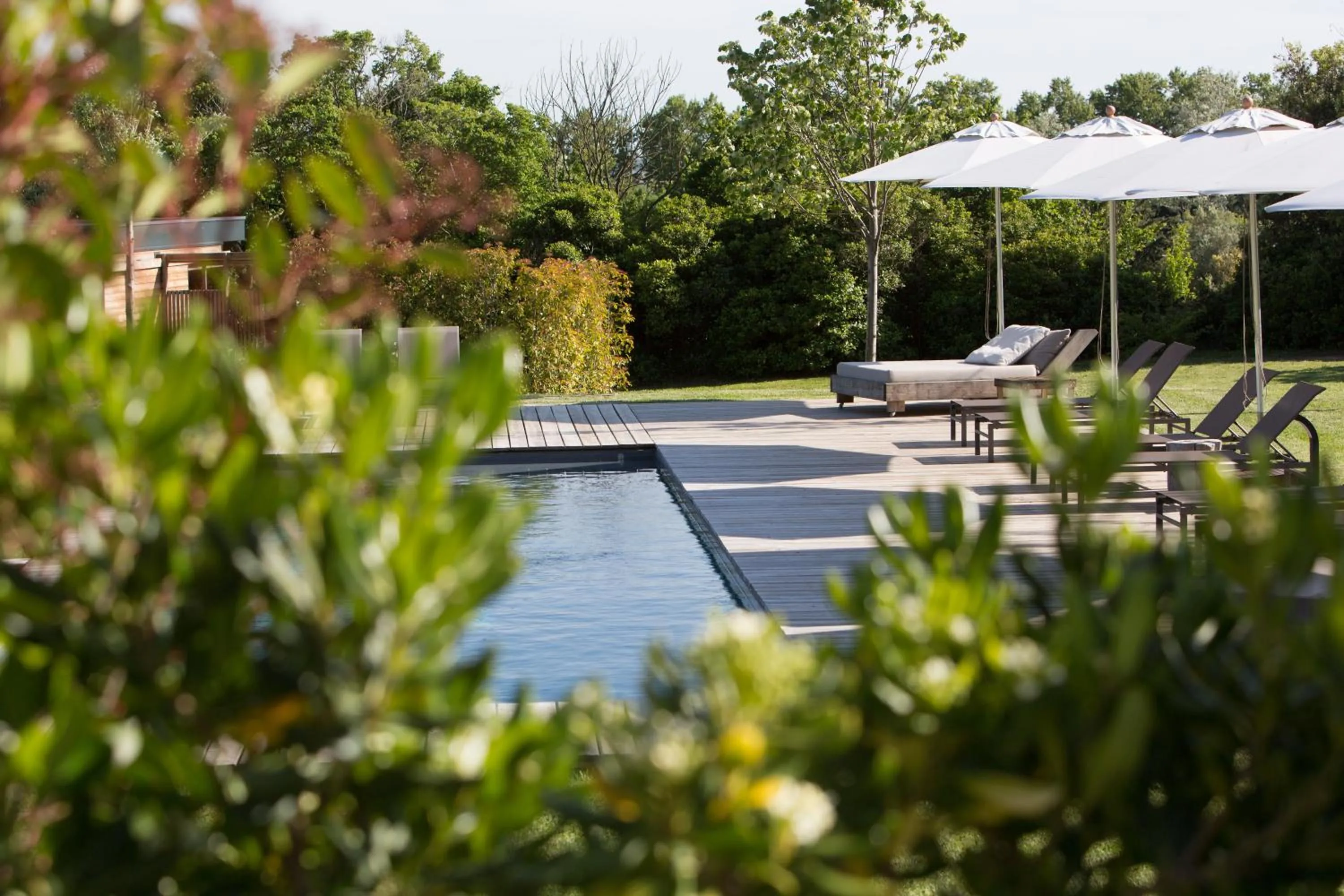 Swimming pool in Domaine Mejan