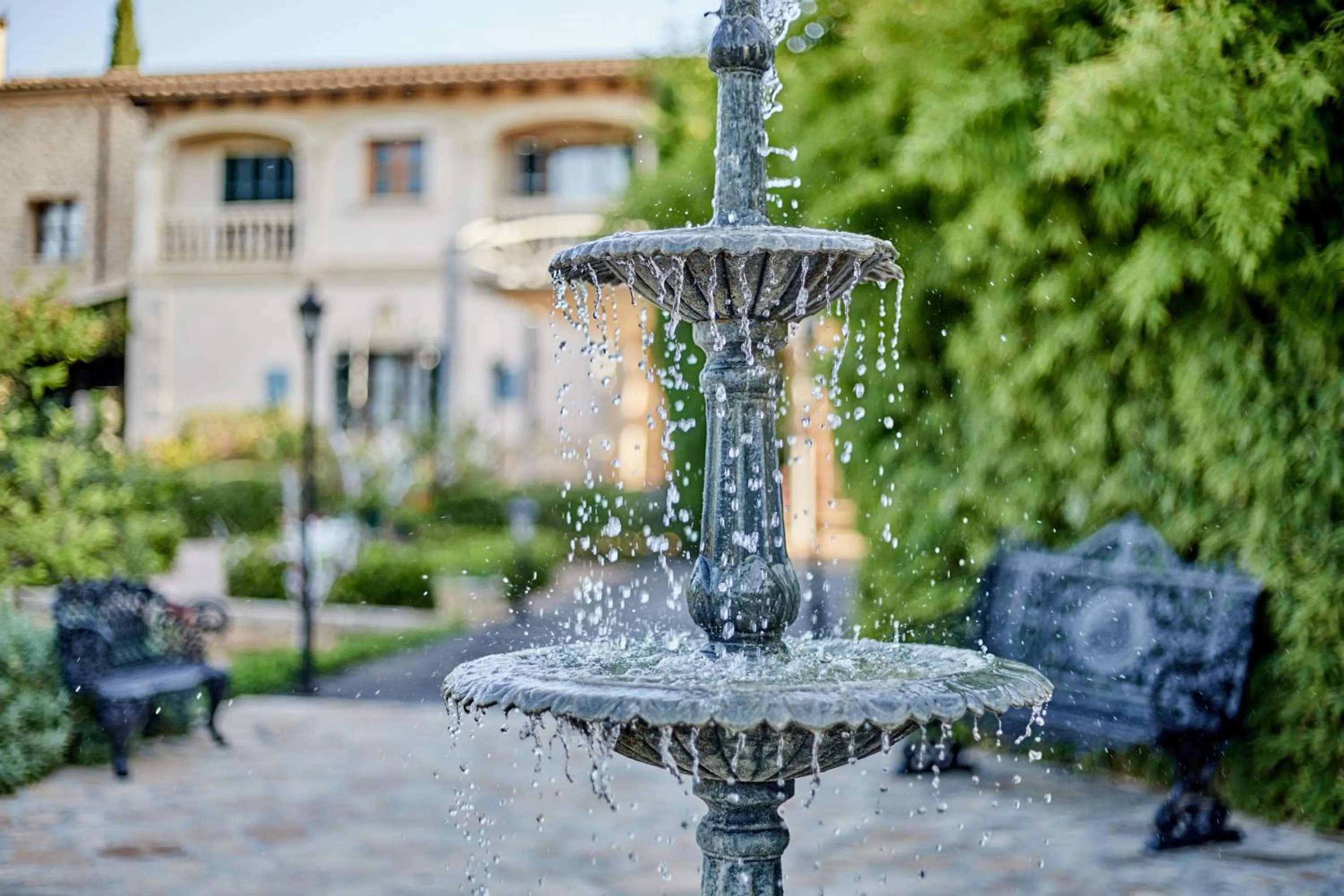 Other in Agroturismo Sa Vinya des Convent