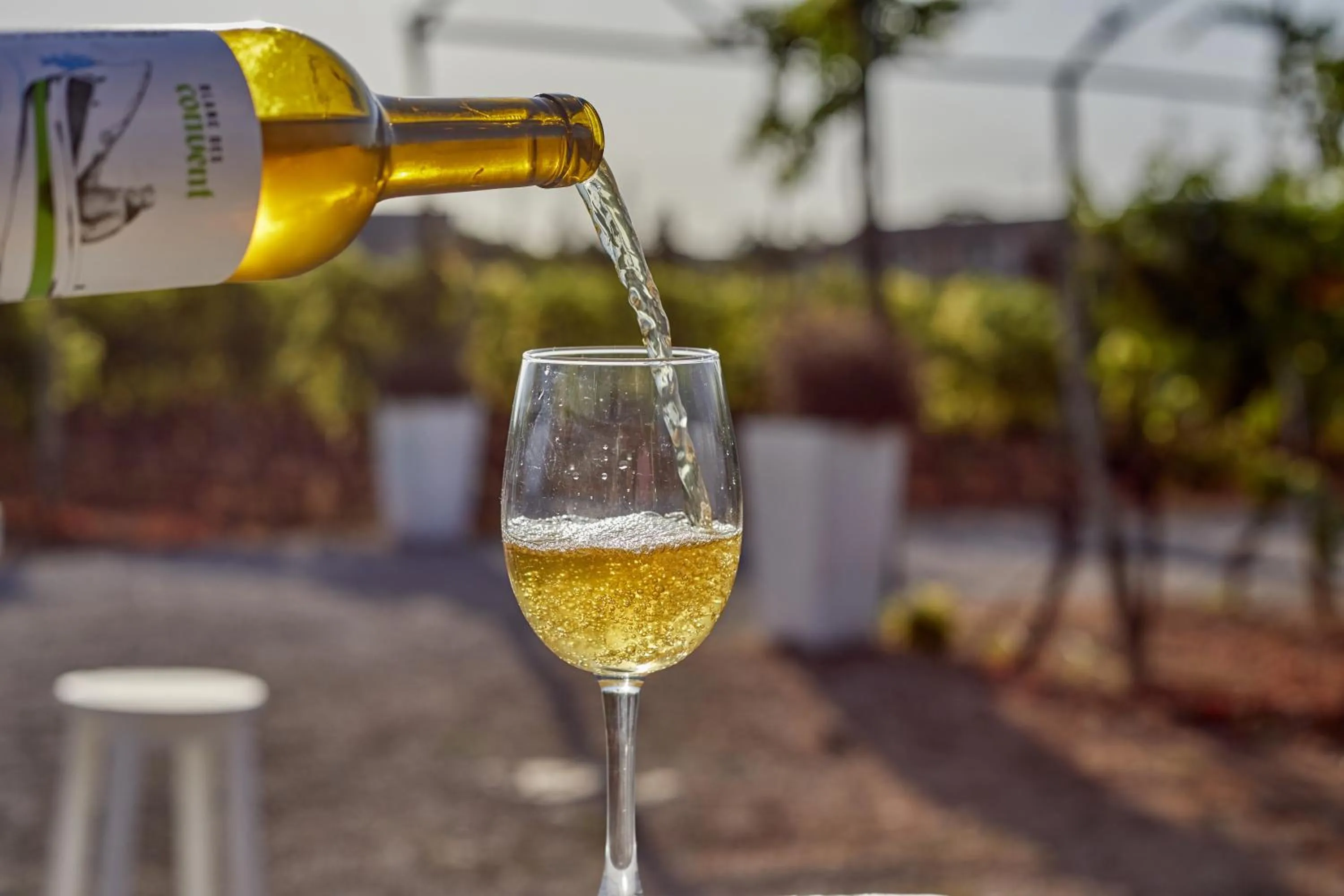 Drinks in Agroturismo Sa Vinya des Convent