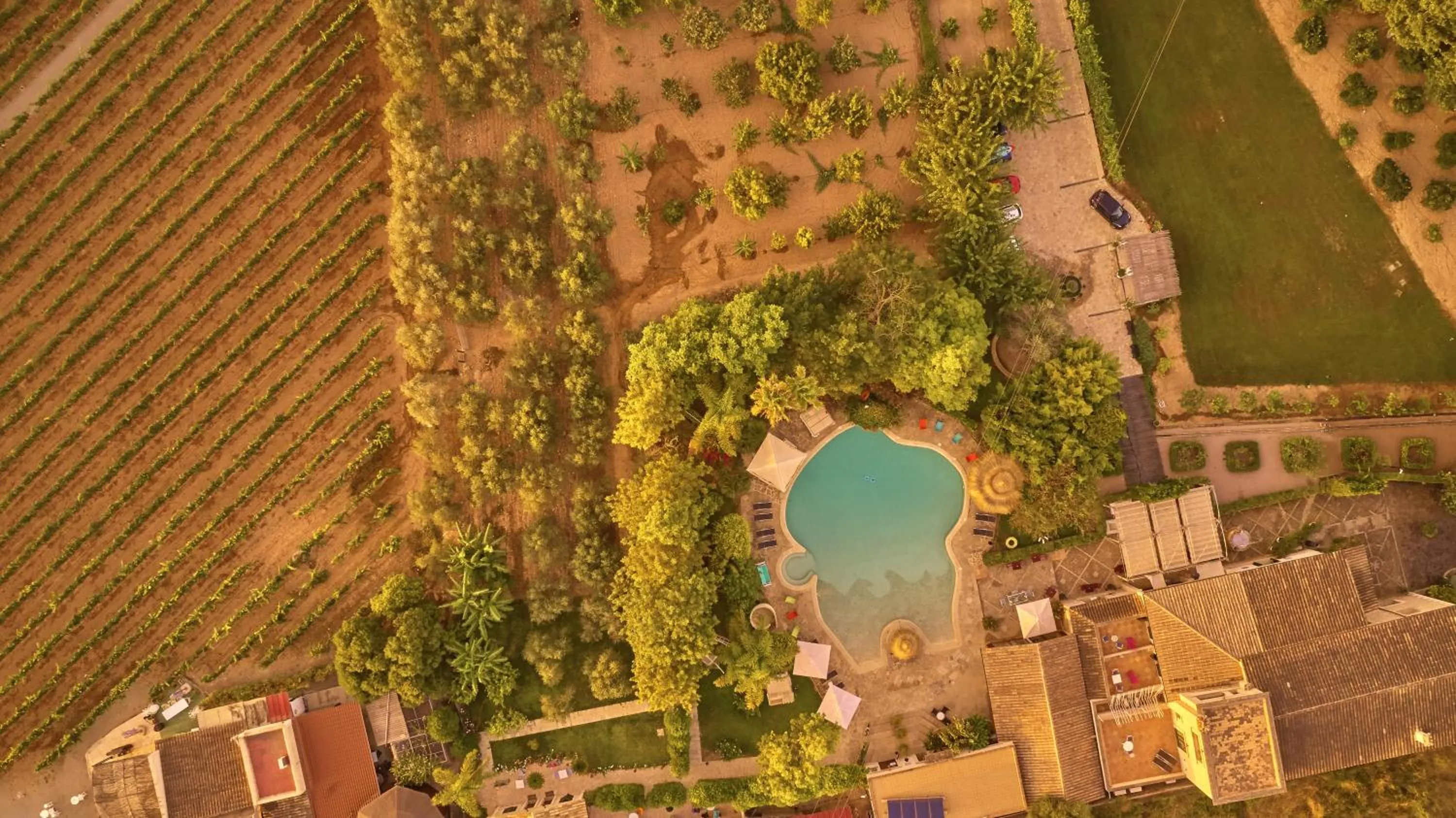 Bird's eye view in Agroturismo Sa Vinya des Convent