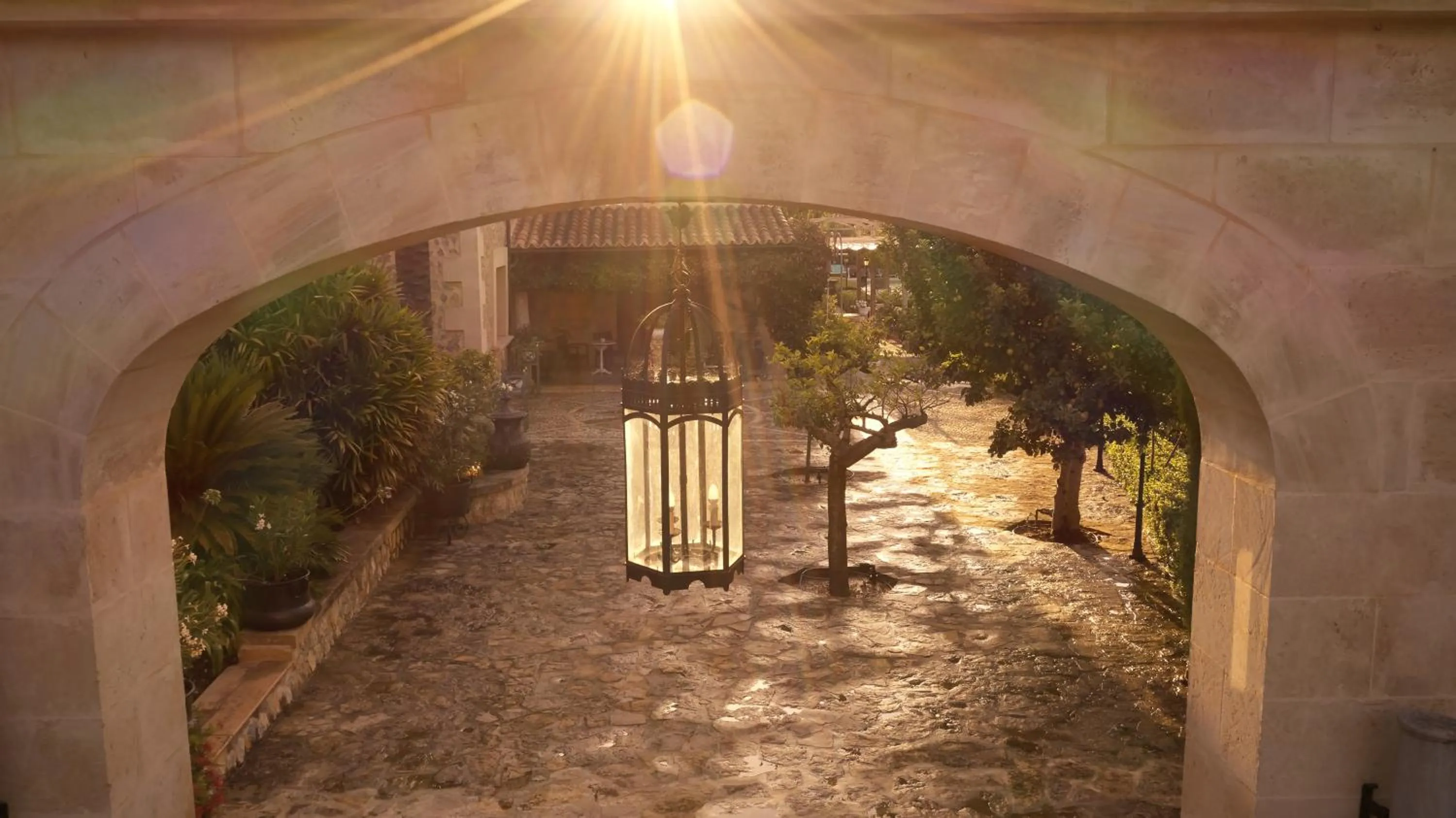 Patio in Agroturismo Sa Vinya des Convent