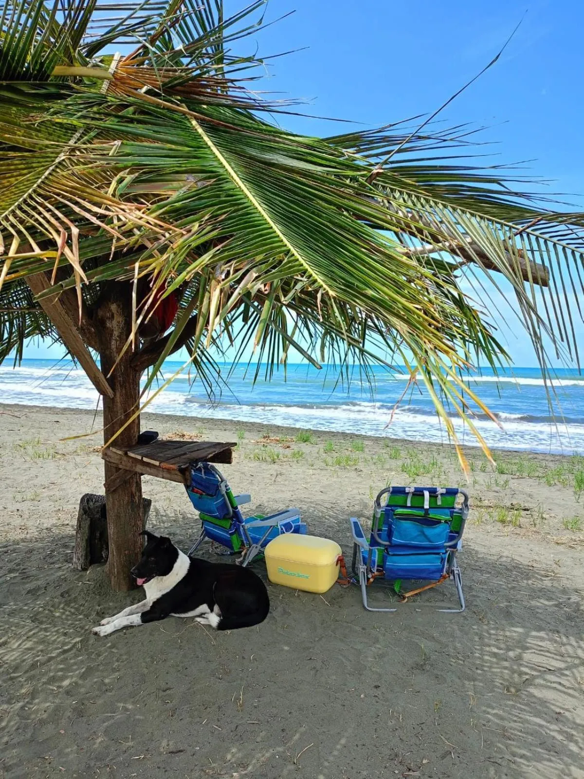 Beach in Hotel Kenaki Lodge