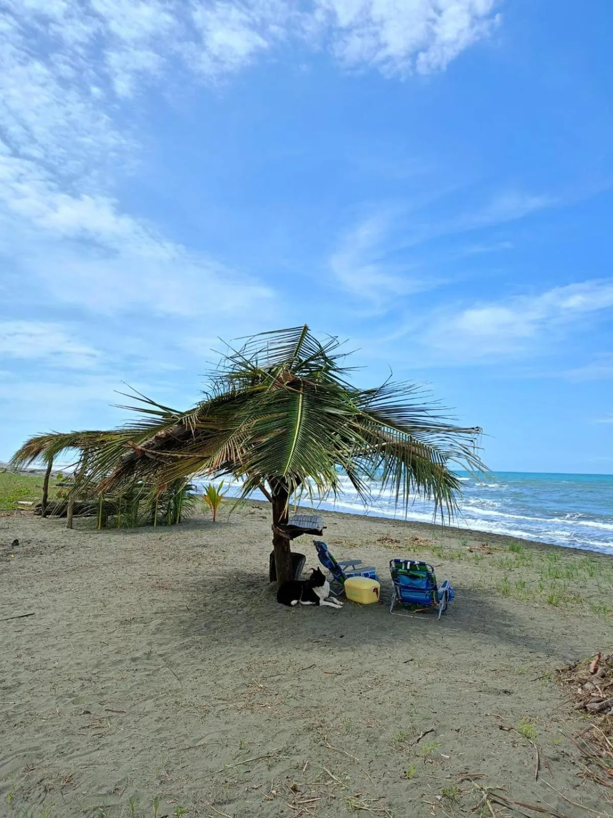 Beach in Hotel Kenaki Lodge