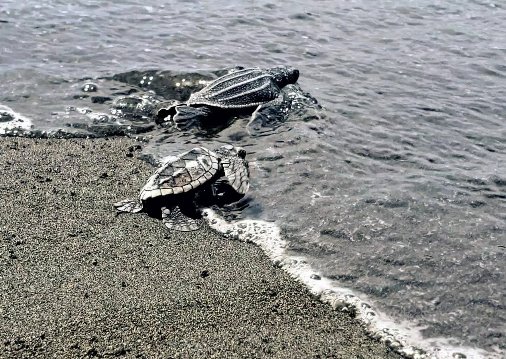 Natural landscape in Hotel Kenaki Lodge