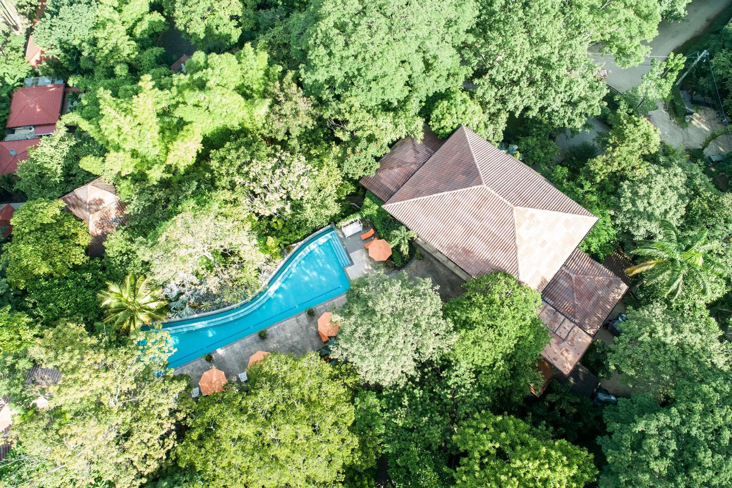 Bird's eye view in Bodhi Tree Yoga Resort
