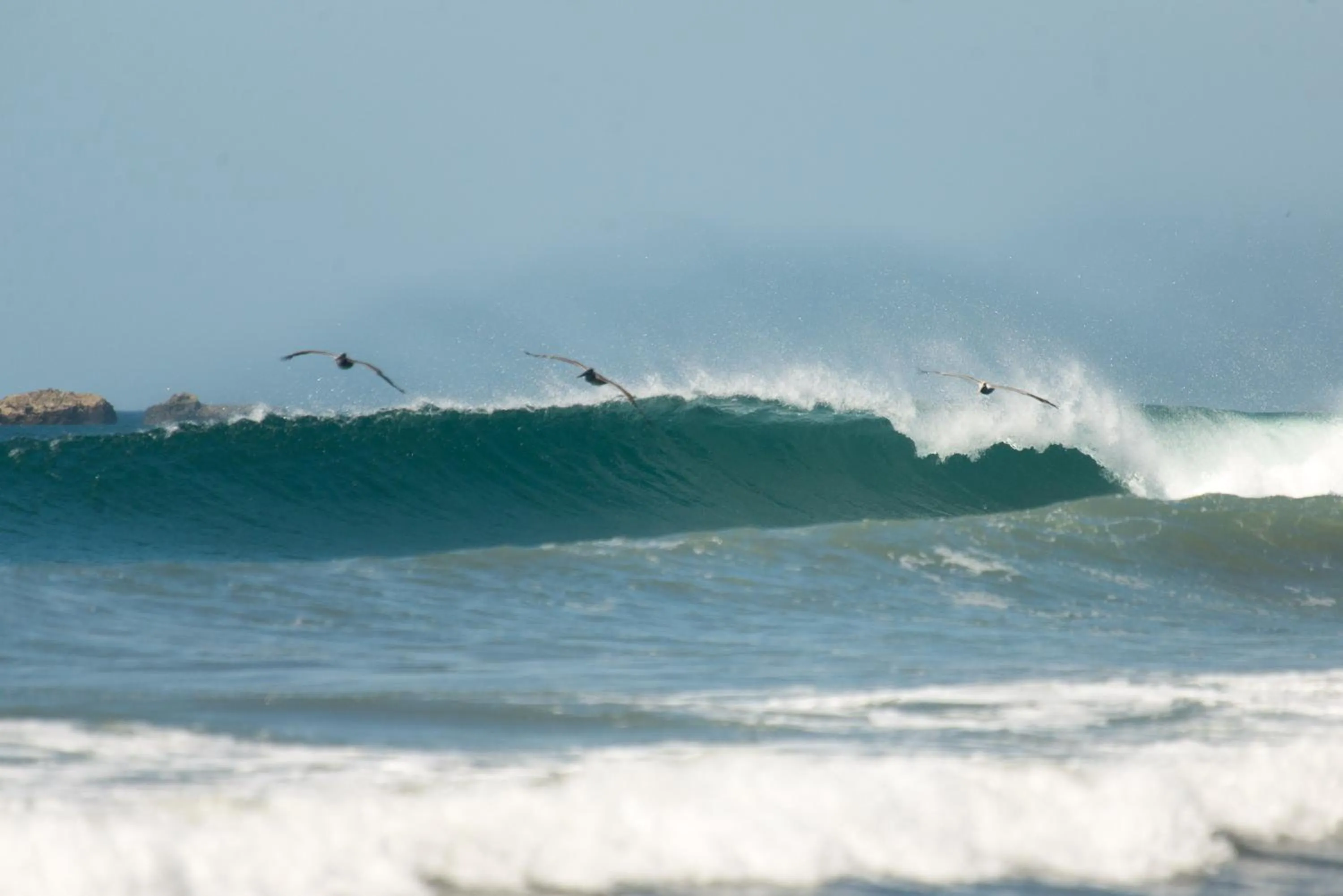 Day in Bodhi Tree Yoga Resort