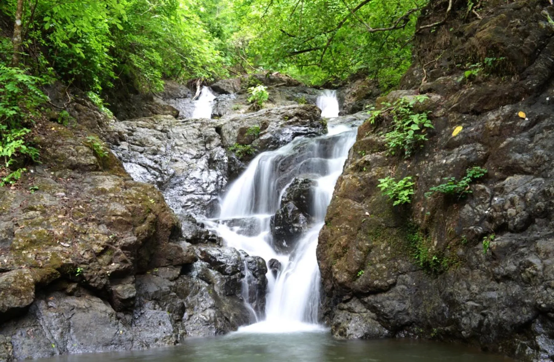 Day in Bodhi Tree Yoga Resort