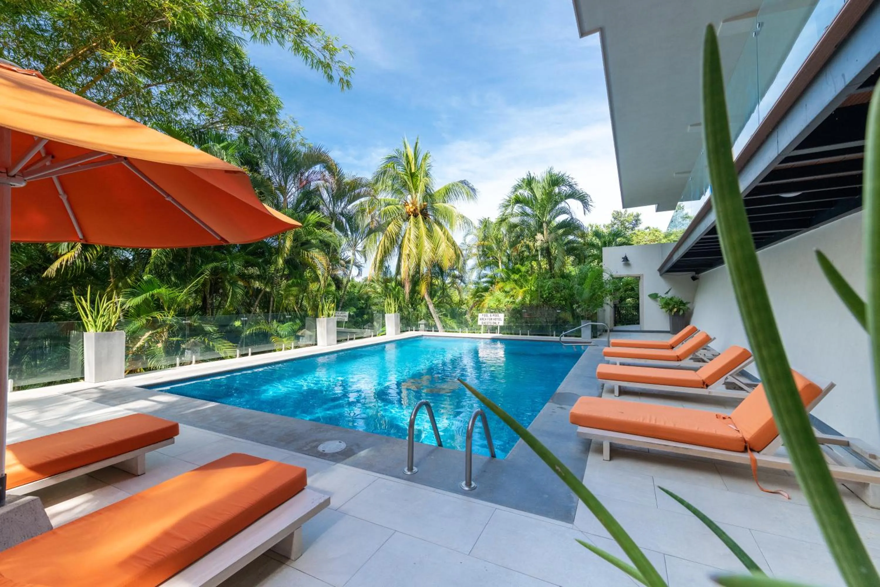 Pool view in Bodhi Tree Yoga Resort