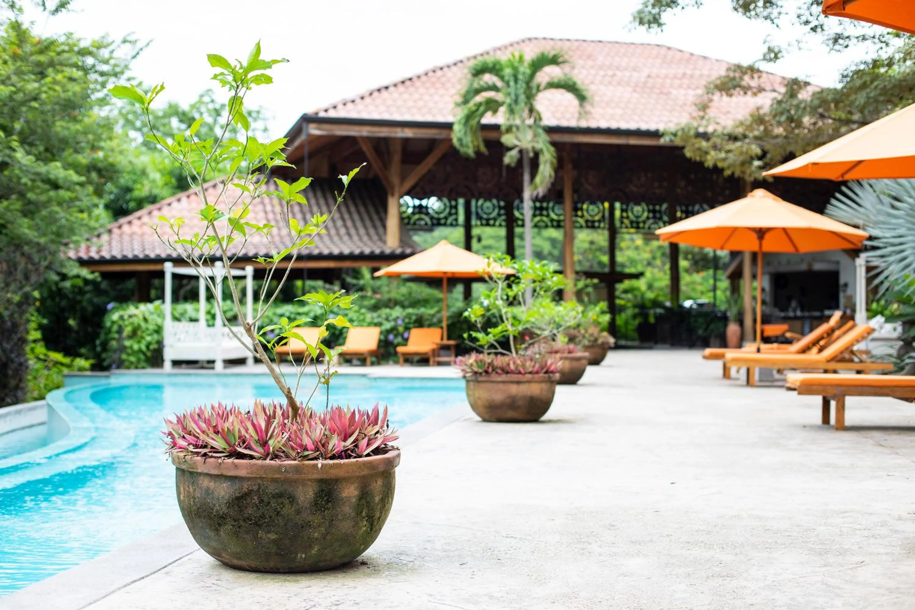 Swimming pool in Bodhi Tree Yoga Resort