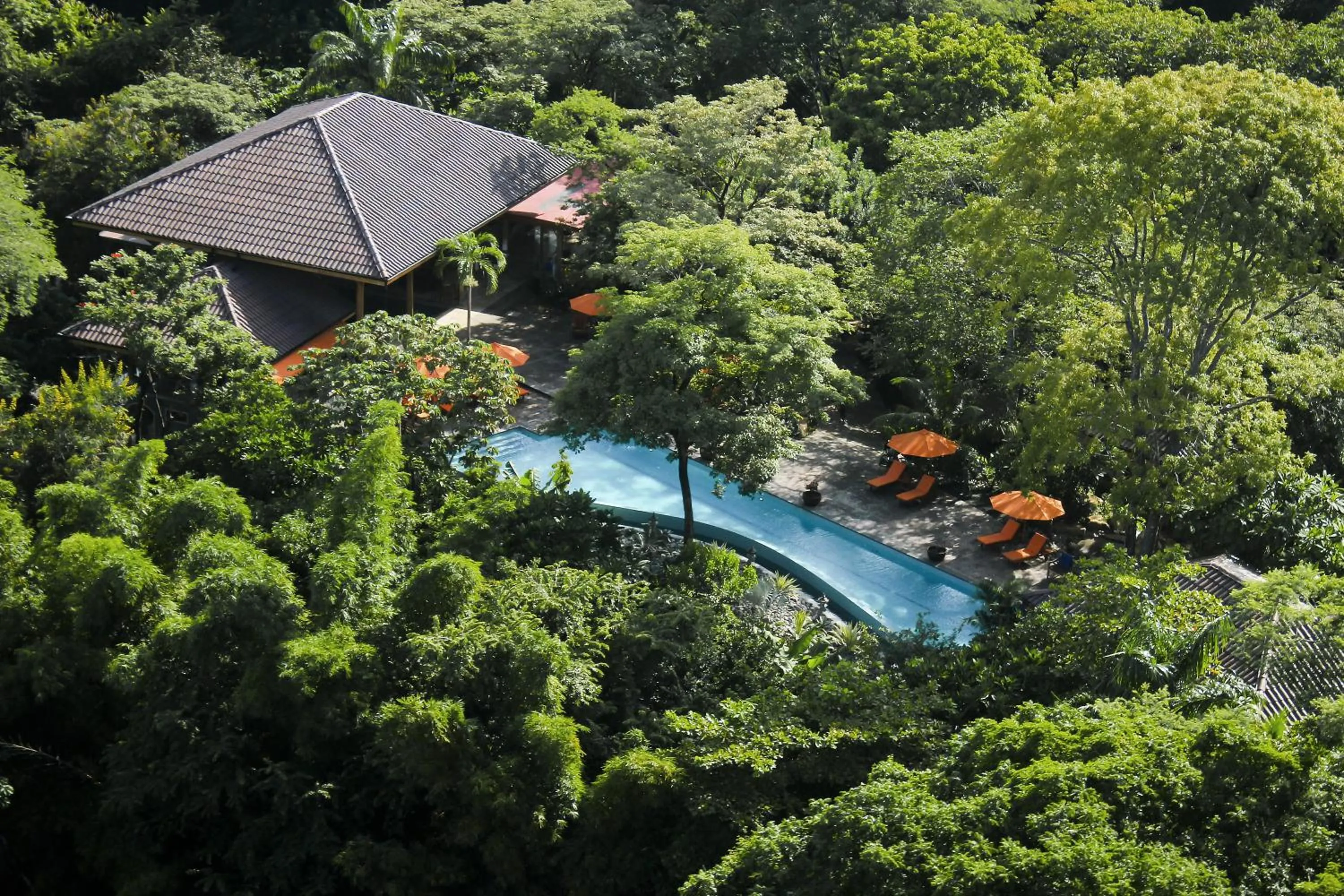 Other in Bodhi Tree Yoga Resort